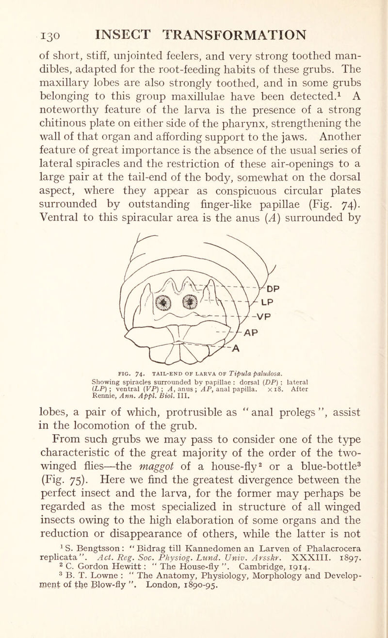 of short, stiff, unjointed feelers, and very strong toothed man- dibles, adapted for the root-feeding habits of these grubs. The maxillary lobes are also strongly toothed, and in some grubs belonging to this group maxillulae have been detected.^ A noteworthy feature of the larva is the presence of a strong chitinous plate on either side of the pharynx, strengthening the wall of that organ and affording support to the jaws. Another feature of great importance is the absence of the usual series of lateral spiracles and the restriction of these air-openings to a large pair at the tail-end of the body, somewhat on the dorsal aspect, where they appear as conspicuous circular plates surrounded by outstanding finger-like papillae (Fig. 74). Ventral to this spiracular area is the anus {A) surrounded by FIG. 74* TAIL-END OF LARVA OF Tipula paludosu. Showing spiracles surrounded by papillae : dorsal {DP) ; lateral (LP) ; ventral (VP) ; A, anus ; AP, anal papilla. x i8. After Rennie, Ann. Appl. Biol. III. lobes, a pair of which, protrusible as “ anal prolegs ”, assist in the locomotion of the grub. From such grubs we may pass to consider one of the type characteristic of the great majority of the order of the two- winged flies—the maggot of a house-fly ^ or a blue-bottle^ (Fig. 75). Here we find the greatest divergence between the perfect insect and the larva, for the former may perhaps be regarded as the most specialized in structure of all winged insects owing to the high elaboration of some organs and the reduction or disappearance of others, while the latter is not ^S. Bengtsson: “ Bidrag till Kannedomen an Larven of Phalacrocera replicata”. Act. Reg. Soc. Physiog. Lund. Univ. Arsskr. XXXIII. 1897. 2 C. Gordon Hewitt: “ The House-fly Cambridge, 1914. ® B. T. Lowne : “ The Anatomy, Physiology, Morphology and Develop- mept of the ]51ow-fly ”. London, 1890-95.
