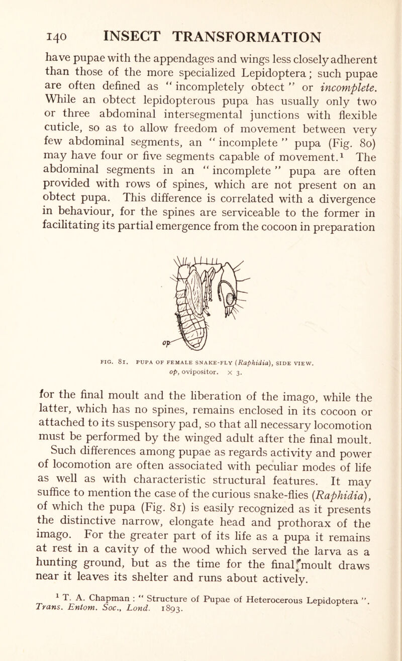 have pupae with the appendages and wings less closely adherent than those of the more specialized Lepidoptera; such pupae are often defined as “ incompletely obtect '' or incomplete. While an obtect lepidopterous pupa has usually only two or three abdominal intersegmental junctions with flexible cuticle, so as to allow freedom of movement between very few abdominal segments, an ‘‘ incomplete ” pupa (Fig. 8o) may have four or five segments capable of movement.^ The abdominal segments in an “ incomplete ’’ pupa are often provided with rows of spines, which are not present on an obtect pupa. This difference is correlated with a divergence in behaviour, for the spines are serviceable to the former in facilitating its partial emergence from the cocoon in preparation FIG. 8l, PUPA OF FEMALE SNAKE-FLY (Raphidiu), SIDE VIEW. Op, ovipositor, x 3. for the final moult and the liberation of the imago, while the latter, which has no spines, remains enclosed in its cocoon or attached to its suspensory pad, so that all necessary locomotion must be performed by the winged adult after the final moult. Such differences among pupae as regards activity and power of locomotion are often associated with peculiar modes of life as well as with characteristic structural features. It may suffice to mention the case of the curious snake-flies (Raphidia), of which the pupa (Fig. 8i) is easily recognized as it presents the distinctive narrow, elongate head and prothorax of the imago. For the greater part of its life as a pupa it remains at rest in a cavity of the wood which served the larva as a hunting ground, but as the time for the final fmoult draws near it leaves its shelter and runs about actively. 1 T. A. Chapman : “ Structure of Pupae of Heterocerous Lepidoptera ” Trans. Entom. Soc., Lond. 1893.