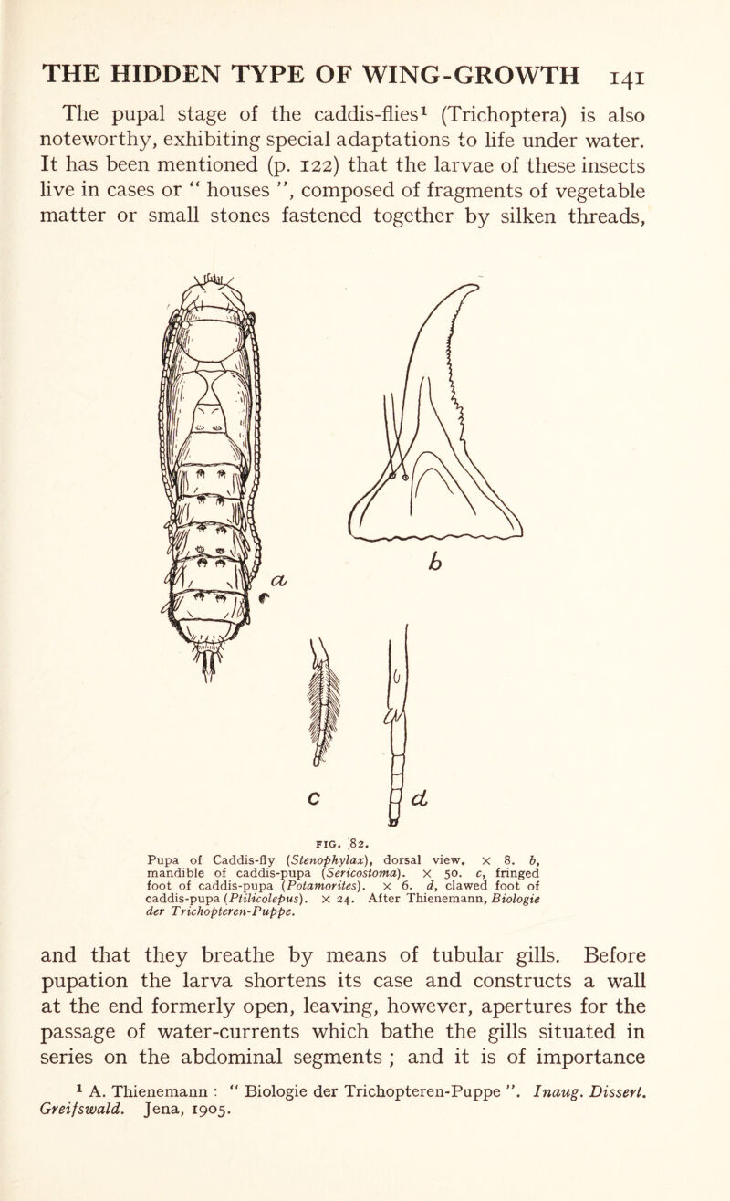 The pupal stage of the caddis-flies ^ (Trichoptera) is also noteworthy, exhibiting special adaptations to life under water. It has been mentioned (p. 122) that the larvae of these insects live in cases or “ houses composed of fragments of vegetable matter or small stones fastened together by silken threads, FIG. 82. Pupa of Caddis-fly (Stenophylax), dorsal view, x 8. b, mandible of caddis-pupa (Sericostoma). x 50. c, fringed foot of caddis-pupa (Potamorites). x 6. d, clawed foot of caddis-puTpa. (PtiUcolepus). X 24. After Thienemann, der Trichopteren-Puppe. and that they breathe by means of tubular gills. Before pupation the larva shortens its case and constructs a wall at the end formerly open, leaving, however, apertures for the passage of water-currents which bathe the gills situated in series on the abdominal segments ; and it is of importance ^ A. Thienemann :  Biologie der Trichopteren-Puppe ”. Inaug. Dissert. Greifswald. Jena, 1905.