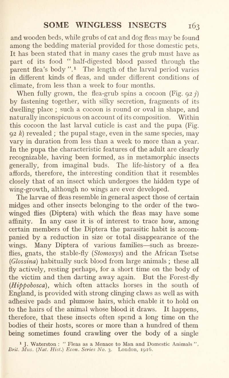 and wooden beds, while grubs of cat and dog fleas may be found among the bedding material provided for those domestic pets. It has been stated that in many cases the grub must have as part of its food “ half-digested blood passed through the parent flea’s body The length of the larval period varies in different kinds of fleas, and under different conditions of climate, from less than a week to four months. When fully grown, the flea-grub spins a cocoon (Fig. 92 y) by fastening together, with silky secretion, fragments of its dwelling place ; such a cocoon is round or oval in shape, and naturally inconspicuous on account of its composition. Within this cocoon the last larval cuticle is cast and the pupa (Fig. 92 k) revealed ; the pupal stage, even in the same species, may vary in duration from less than a week to more than a year. In the pupa the characteristic features of the adult are clearly recognizable, having been formed, as in met amorphic insects generally, from imaginal buds. The life-history of a flea affords, therefore, the interesting condition that it resembles closely that of an insect which undergoes the hidden type of wing-growth, although no wings are ever developed. The larvae of fleas resemble in general aspect those of certain midges and other insects belonging to the order of the two- winged flies (Diptera) with which the fleas may have some affinity. In any case it is of interest to trace how, among certain members of the Diptera the parasitic habit is accom- panied by a reduction in size or total disappearance of the wings. Many Diptera of various families—such as breeze- flies, gnats, the stable-fly (Stomoxys) and the African Tsetse (Glossina) habitually suck blood from large animals ; these all fly actively, resting perhaps, for a short time on the body of the victim and then darting away again. But the Forest-fly (Hippobosca), which often attacks horses in the south of England, is provided with strong cfinging claws as well as with adhesive pads and plumose hairs, which enable it to hold on to the hairs of the animal whose blood it draws. It happens, therefore, that these insects often spend a long time on the bodies of their hosts, scores or more than a hundred of them being sometimes foimd crawling over the body of a single ^ J. Waterston : “ Fleas as a Menace to Man and Domestic Animals Bril. Mus. {Nat. Hist.) Econ. Series No. 3. London, 1916.