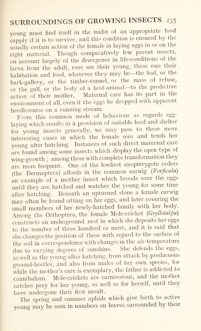 young must find itself in the midst of an appropriate food supply if it is to survive, and this condition is ensured by the usually certain action of the female in laying eggs in or on the right material. Though comparatively few parent insects, on account largely of the divergence in life-conditions of the larva from the adult, ever see their young, these owe their habitation and food, whatever they may be—the leaf, or the bark-gallery, or the timber-tunnel, or the mass of refuse, or the gall, or the body of a host-animal—to the predictive action of their mother. Maternal care has its part in the environment of all, even if the eggs be dropped with appaient heedlessness on a running stream. From this common mode of behaviour as regards egg- laying which results in a provision of suitable food and shelter for young insects generally, we may pass to those more interesting cases in which the female sees and tends hei young after hatching. Instances of such direct maternal care are found among some insects which display the open type of wing-growth ; among those with complete transformation they are more frequent. One of the lowliest exopterygote orders (the Dermaptera) affords in the common earwig {Forficula) an example of a mother insect which broods over the eggs until they are hatched and watches the young for some time after hatching. Beneath an upturned stone a female earwig may often be found sitting on her eggs, and later covering the small members of her newly-hatched family with her body. Among the Orthoptera, the female Mole-cricket (Gryllotalpa) constructs an underground nest in which she deposits her eggs to the number of three hundred or more, and it is said that she changes the position of these with regard to the suiface of the soil in correspondence with changes in the air-temperature due to varying degrees of sunshine. She defends the eggs, as well as the young after hatching, from attack by predaceous ground-beetles, and also from males of her own species, for while the mother's care is exemplary, the father is addicted to cannibalism. Mole-crickets are carnivorous, and the mother catches prey for her young, as well as for herself, until they have undergone their first moult. The spring and summer aphids which give birth to active young may be seen in numbers on leaves surrounded by their