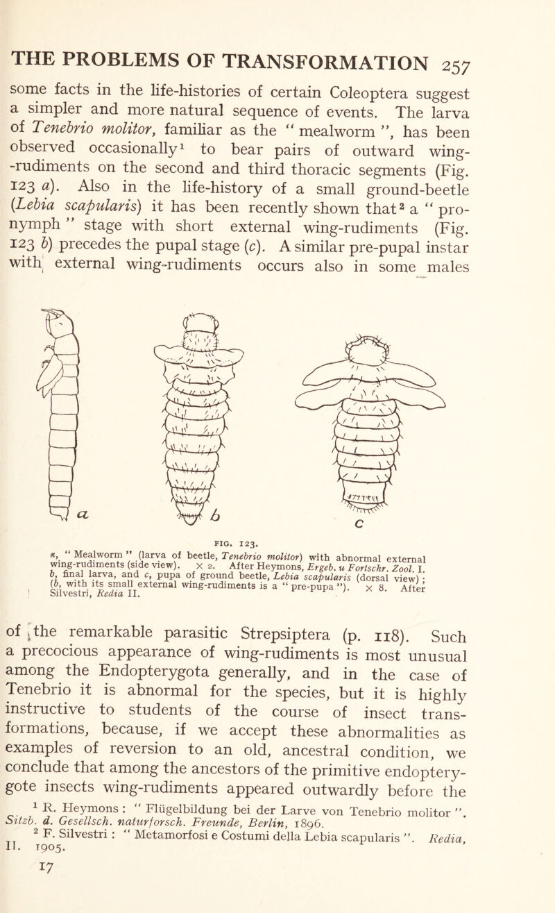 some facts in the life-histories of certain Coleoptera suggest a simpler and more natural sequence of events. The larva of Tenebrio molitor, familiar as the mealworm ”, has been observed occasionally^ to bear pairs of outward wing- -rudiments on the second and third thoracic segments (Fig. 123 a). Also in the life-history of a small ground-beetle {Lehia scapularis) it has been recently shown that 2 a “ pro- nymph stage with short external wing-rudiments (Fig. 123 h) precedes the pupal stage (c). A similar pre-pupal instar with, external wing-rudiments occurs also in some males Mealworm ” (larva of beetle, Tenebrio moUtor) with abnormal external mng-ru(iments (side view). x 2. B-eyraons, Ergeb.u Fortschr. Zool. I. 0, final larva, and c, pupa of ground beetle, Lebia scapularis (dorsal view) • [b, with Its small external wing-rudiments is a “ pre-pupa ”) x 8 AftPr Silvestri, 11. ^ )• x o. Alter of [the remarkable parasitic Strepsiptera (p. ii8). Such a precocious appearance of wing-rudiments is most unusual among the Endopterygota generally, and in the case of Tenebrio it is abnormal for the species, but it is highly instructive to students of the course of insect trans- formations, because, if we accept these abnormalities as examples of reversion to an old, ancestral condition, we conclude that among the ancestors of the primitive endoptery- gote insects wing-rudiments appeared outwardly before the 1 R. Heymons : “ Fliigelbildung bei der Larve von Tenebrio molitor ”. Sitzb. d. Gesellsch. naturjorsch. Freunde, Berlin, 1896. ^F. Silvestri: “ Metamorfosi e Costumi della Lebia scapularis ”. Redia IT. T905. 17