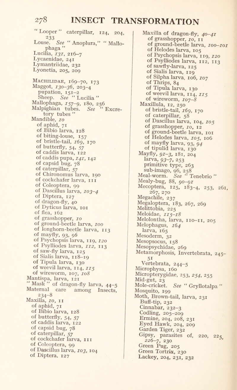 “ Looper ” caterpillar, 124, 204, 233 Louse. See “ Anoplura, “ Mallo- phaga ” Lucilia, jjj, 216-7 Lycaenidae, 241 Lymantriidae, 232 Lyonetia, 205, 209 Machilidae, 169-70, 173 Maggot, jjo-56, 203-4 pupation, 151-2 Sheep. See “ Lucilia ” Mallophaga, 157-g, 180, 256 Malpighian tubes. See “ Excre- tory tubes ” Mandible, 10 of aphid, 71 of Bibio larva, 128 of biting-louse, 157 of bristle-tail, 16g, 170 of butterfly, 54, 57 of caddis larva, 122 of caddis pupa, 141, 142 of capsid bug, 78 of caterpillar, 57 of Chironomus larva, 190 of cockchafer larva, 111 of Coleoptera, 99 of Dascillus larva, 103-4 of Diptera, 127 of dragon-fly, 40 of Dyticus larva, loi of flea, 162 of grasshopper, 10 of ground-beetle larva, 100 of longhorn-beetle larva, 113 of mayfly, 93, 96 of Psychopsis larva, 119, 120 of Psylliodes larva, 112, 113 of saw-fly larva, 125 of Sialis larva, 118-19 of Tipula larva, 130 of weevil larva, 114, 113 of wireworm, 107, 108 Mantispa, larva, 121 “ Mask ” of dragon-fly larva, 44-5 Maternal care among Insects, 234-8 Maxilla, 10, ii of aphid, 71 of Bibio larva, 128 of butterfly, 54, 57 of caddis larva, 122 of capsid bug, 78 of caterpillar, 57 of cockchafer larva, iii of Coleoptera, 99 of Dascillus larva, 103, 104 of Diptera. 127 Maxilla of dragon-fly, 40-41 of grasshopper, jo, 11 of ground-beetle larva, 100—loi of Helodes larva, 105 of Psychopsis larva, 119, 120 of Psylliodes larva, 112, 113 of sa’^y-larva, 125 of Sialis larva, 119 of Silpha larva, 106, loy of Thrips, 84 of Tipula larva, 130 of weevil larva, 114, 113 of wireworm, ioy-8 Maxillula, 12, 250 of bristle-tail, 16g, 170 of caterpillar, 58 of Dascillus larva, 104, J05 of grasshopper, 10, 12 of ground-beetle larva, 101 of Helodes larva, J05, 106 of mayfly larva, 93, 94 of tipulid larva, 130 Mayfly, gi-3^ 181, 204 larva, 9J-7, 253 primitive type, 263 sub-imago, 96, 258 Meal-worm. See “ Tenebrio ” Mealy-bug, 88, go-gi Mecoptera, 125, 183-4, 253, 261, 267, 270 Megachile, 237 Megaloptera, 183, 267, 269 Melittobia, 225 Meloidae, 113-18 Melolontha, larva, iio-ii, 205 Melophagus, 164 larva, 165 Mesoderm, 32 Mesopsocus, 158 Mesopsychidae, 269 Metamorphosis, Invertebrata, 245- 51 Vertebrata, 244-5 Microphysa, 160 Micropterygidae, 253, 254, 255 Mid-gut, 23 Mole-cricket. See “ Gryllotalpa  Mosquito, 199 Moth, Brown-tail, larva, 231 Buff-tip, 232 Cinnabar, 232-3 Codling, 205-209 Ermine, 204, 208, 231 Eyed Hawk, 204, 209 Garden Tiger, 232 Gipsy, parasites of, 220, 225 226-7, 230 ' Green Pug, 205 Green Tortrix, 230 Lackey, 204, 231, 232