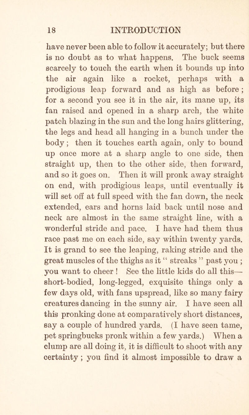 have never been able to follow it accurately; but there is no doubt as to what happens. The buck seems scarcely to touch the earth when it bounds up into the air again like a rocket, perhaps with a prodigious leap forward and as high as before ; for a second you see it in the air, its mane up, its fan raised and opened in a sharp arch, the white patch blazing in the sun and the long hairs glittering, the legs and head all hanging in a bunch under the body; then it touches earth again, only to bound up once more at a sharp angle to one side, then straight up, then to the other side, then forward, and so it goes on. Then it will pronk away straight on end, with prodigious leaps, until eventually it will set off at full speed with the fan down, the neck extended, ears and horns laid back until nose and neck are almost in the same straight line, with a wonderful stride and pace. I have had them thus race past me on each side, say within twenty yards. It is grand to see the leaping, raking stride and the great muscles of the thighs as it “ streaks 55 past you ; you want to cheer ! See the little kids do all this— short-bodied, long-legged, exquisite things only a few days old, with fans upspread, like so many fairy creatures dancing in the sunny air. I have seen all this pronking done at comparatively short distances, say a couple of hundred yards. (I have seen tame, pet springbucks pronk within a few yards.) When a clump are all doing it, it is difficult to shoot with any certainty; you find it almost impossible to draw a