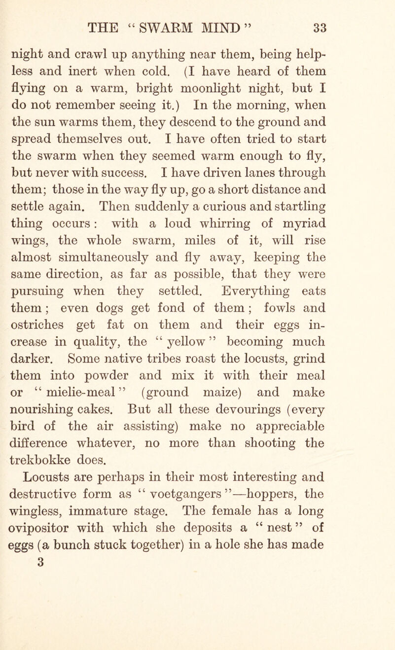 night and crawl up anything near them, being help- less and inert when cold. (I have heard of them flying on a warm, bright moonlight night, but I do not remember seeing it.) In the morning, when the sun warms them, they descend to the ground and spread themselves out. I have often tried to start the swarm when they seemed warm enough to fly, but never with success. I have driven lanes through them; those in the way fly up, go a short distance and settle again. Then suddenly a curious and startling thing occurs: with a loud whirring of myriad wings, the whole swarm, miles of it, will rise almost simultaneously and fly away, keeping the same direction, as far as possible, that they were pursuing when they settled. Everything eats them ; even dogs get fond of them ; fowls and ostriches get fat on them and their eggs in- crease in quality, the “ yellow ” becoming much darker. Some native tribes roast the locusts, grind them into powder and mix it with their meal or “ mielie-meal ” (ground maize) and make nourishing cakes. But all these devourings (every bird of the air assisting) make no appreciable difference whatever, no more than shooting the trekbokke does. Locusts are perhaps in their most interesting and destructive form as “ voetgangers ”—hoppers, the wingless, immature stage. The female has a long ovipositor with which she deposits a “ nest ” of eggs (a bunch stuck together) in a hole she has made 3