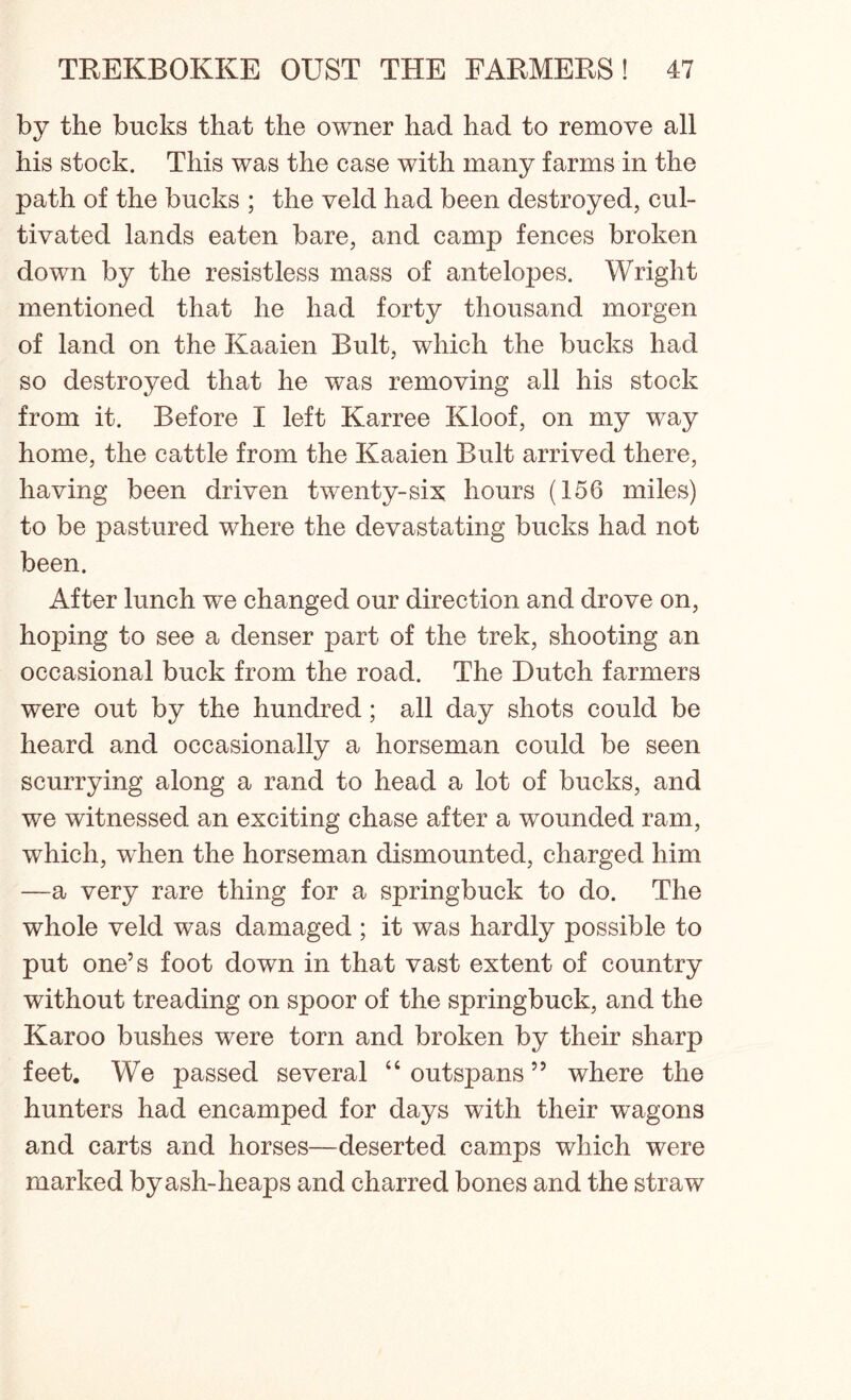 by the bucks that the owner had had to remove all his stock. This was the case with many farms in the path of the bucks ; the veld had been destroyed, cul- tivated lands eaten bare, and camp fences broken down by the resistless mass of antelojoes. Wright mentioned that he had forty thousand morgen of land on the Kaaien Bult, which the bucks had so destroyed that he was removing all his stock from it. Before I left Karree Kloof, on my way home, the cattle from the Kaaien Bult arrived there, having been driven twenty-six hours (156 miles) to be pastured where the devastating bucks had not been. After lunch we changed our direction and drove on, hoping to see a denser part of the trek, shooting an occasional buck from the road. The Dutch farmers were out by the hundred; all day shots could be heard and occasionally a horseman could be seen scurrying along a rand to head a lot of bucks, and we witnessed an exciting chase after a wounded ram, which, when the horseman dismounted, charged him —a very rare thing for a springbuck to do. The whole veld was damaged ; it was hardly possible to put one’s foot down in that vast extent of country without treading on spoor of the springbuck, and the Karoo bushes were torn and broken by their sharp feet. We passed several “ outspans ” where the hunters had encamped for days with their wragons and carts and horses—deserted camps which were marked byash-heaps and charred bones and the straw