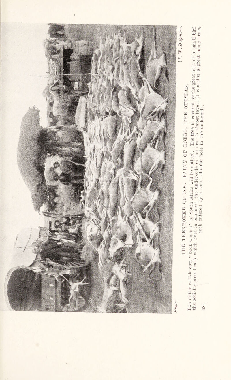 t3 CO ?-i +3 Q> s CO <x> £ d >> K) u g co d d s H^ d s «H o d 0> ■+~) bn co UIJ cd ^ a 03 +3 CO ce a ■ S '5 CD 5 Ph CC 4^ t>,.-s EH p r^j , , O CD CD ?H r CD . m w t> -H § m EH co 2- ■ a •• «pP m 03 “ Ph rf) .2 r PP CD _o  O rd CO PP Eh §• Ph O • 2 - rO ^ , <D +3 '“ o . H •*H 4-( » -+e o ( Eh rr^ o d <D i Ph <1^ !>> O A —° ^ —, rs 3.2 oj S ° 5 u M ffi 5 ® M -oa O ° O CD PP - r M rt ■ K §>? H |M M 2 X Eh p a ^ > d