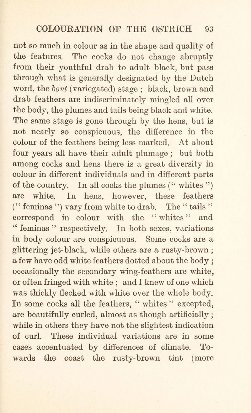 not so much in colour as in the shape and quality of the features. The cocks do not change abruptly from their youthful drab to adult black, but pass through what is generally designated by the Dutch word, the bout (variegated) stage ; black, brown and drab feathers are indiscriminately mingled all over the body, the plumes and tails being black and white. The same stage is gone through by the hens, but is not nearly so conspicuous, the difference in the colour of the feathers being less marked. At about four years all have their adult plumage; but both among cocks and hens there is a great diversity in colour in different individuals and in different parts of the country. In all cocks the plumes (“ whites ”) are white. In hens, however, these feathers (“ feminas ”) vary from white to drab. The “ tails ” correspond in colour with the “ whites ” and “ feminas ” respectively. In both sexes, variations in body colour are conspicuous. Some cocks are a glittering jet-black, while others are a rusty-brown ; a few have odd white feathers dotted about the body ; occasionally the secondary wing-feathers are white, or often fringed with white ; and I knew of one which was thickly flecked with white over the whole body. In some cocks all the feathers, “ whites 55 excepted, are beautifully curled, almost as though artificially ; while in others they have not the slightest indication of curl. These individual variations are in some cases accentuated by differences of climate. To- wards the coast the rusty-brown tint (more