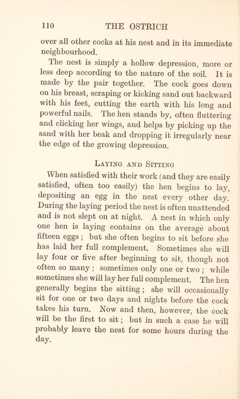 over all other cocks at his nest and in its immediate neighbourhood. The nest is simply a hollow depression, more or less deep according to the nature of the soil. It is made by the pair together. The cock goes down on his breast, scraping or kicking sand out backward with his feet, cutting the earth with his long and powerful nails. The hen stands by, often fluttering and clicking her wings, and helps by picking up the sand with her beak and dropping it irregularly near the edge of the growing depression. Laying and Sitting When satisfied with their work (and they are easily satisfied, often too easily) the hen begins to lay, depositing an egg in the nest every other day. During the laying period the nest is often Unattended and is not slept on at night. A nest in which only one hen is laying contains on the average about fifteen eggs ; but she often begins to sit before she has laid her full complement. Sometimes she will lay four or five after beginning to sit, though not often so many ; sometimes only one or two ; while sometimes she will lay her full complement. The hen generally begins the sitting ; she will occasionally sit for one or two days and nights before the cock takes his turn. Now and then, however, the cock will be the first to sit; but in such a case he will probably leave the nest for some hours during the day.