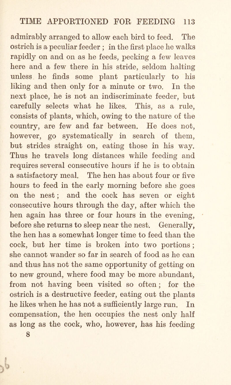admirably arranged to allow each bird to feed. The ostrich is a peculiar feeder ; in the first place he walks rapidly on and on as he feeds, pecking a few leaves here and a few there in his stride, seldom halting unless he finds some plant particularly to his liking and then only for a minute or two. In the next place, he is not an indiscriminate feeder, but carefully selects what he likes. This, as a rule, consists of plants, which, owing to the nature of the country, are few and far between. He does not, however, go systematically in search of them, but strides straight on, eating those in his way. Thus he travels long distances while feeding and requires several consecutive hours if he is to obtain a satisfactory meal. The hen has about four or five hours to feed in the early morning before she goes on the nest; and the cock has seven or eight consecutive hours through the day, after which the hen again has three or four hours in the evening, before she returns to sleep near the nest. Generally, the hen has a somewhat longer time to feed than the cock, but her time is broken into two portions ; she cannot wander so far in search of food as he can and thus has not the same opportunity of getting on to new ground, where food may be more abundant, from not having been visited so often ; for the ostrich is a destructive feeder, eating out the plants he likes when he has not a sufficiently large run. In compensation, the hen occupies the nest only half as long as the cock, who, however, has his feeding 8