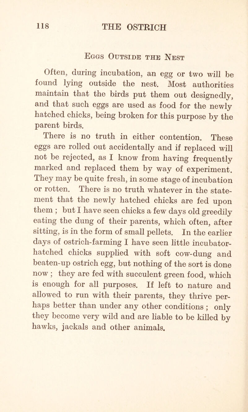 Eggs Outside the Nest Often, during incubation, an egg or two will be found lying outside the nest. Most authorities maintain that the birds put them out designedly, and that such eggs are used as food for the newly hatched chicks, being broken for this purpose by the parent birds. There is no truth in either contention. These eggs are rolled out accidentally and if replaced will not be rejected, as I know from having frequently marked and replaced them by way of experiment. They may be quite fresh, in some stage of incubation or rotten. There is no truth whatever in the state- ment that the newly hatched chicks are fed upon them ; but I have seen chicks a few days old greedily eating the dung of their parents, which often, after sitting, is in the form of small pellets. In the earlier days of ostrich-farming I have seen little incubator- hatched chicks supplied with soft cow-dung and beaten-up ostrich egg, but nothing of the sort is done now ; they are fed with succulent green food, which is enough for all purposes. If left to nature and allowed to run with their parents, they thrive per- haps better than under any other conditions ; only they become very wild and are liable to be killed by hawks, jackals and other animals.