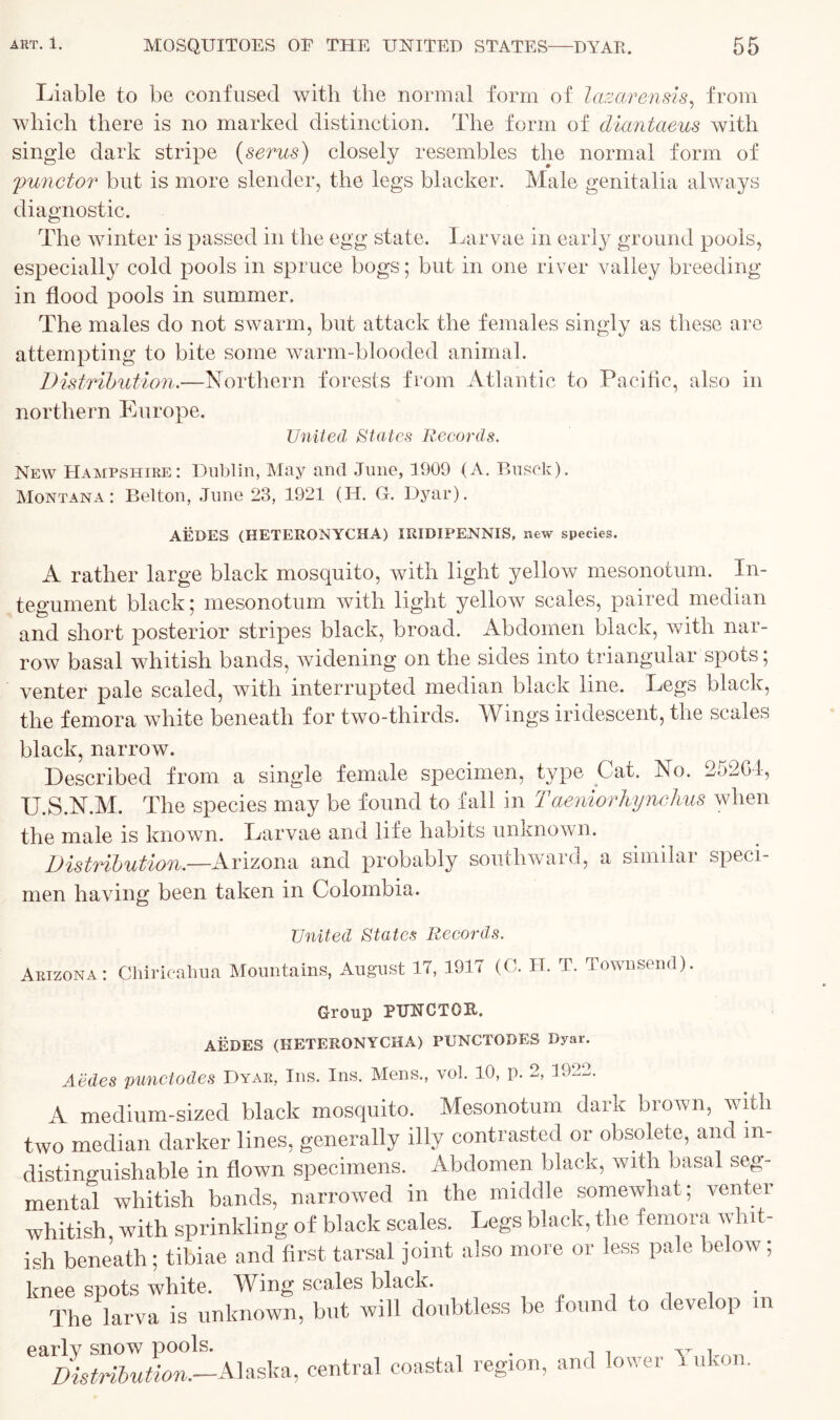 Liable to be confused with the normal form of lazarensis, from which there is no marked distinction. The form of diantaeus with single dark stripe (serus) closely resembles the normal form of functor but is more slender, the legs blacker. Male genitalia always diagnostic. The winter is passed in the egg state. Larvae in early ground pools, especially cold pools in spruce bogs; but in one river valley breeding- in flood pools in summer. The males do not swarm, but attack the females singly as these are attempting to bite some warm-blooded animal. Distribution.—Northern forests from Atlantic to Pacific, also in northern Europe. United States Records. New Hampshire: Dublin, May and June, 1909 (A. Busck). Montana: Belton, June 23, 1921 (IT. G. Dyar). AEDES (HETERONYCHA) IRIDIPENNIS, new species. A rather large black mosquito, with light yellow mesonotum. In- tegument black; mesonotum with light yellow scales, paired median and short posterior stripes black, broad. Abdomen black, with nar- row basal whitish bands, widening on the sides into triangular spots; venter pale scaled, with interrupted median black line. Legs black, the femora white beneath for two-thirds. Wings iridescent, the scales black, narrow. Described from a single female specimen, type Cat. No. 25264, U.S.N.M. The species may be found to fall in Taeniorhynchus when the male is known. Larvae and life habits unknown. Distribution.—Arizona and probably southward, a similar speci- men having been taken in Colombia. United States Records. Arizona: Cliiricahua Mountains, August 17, 1917 (C. H. T. Townsend). Group PUNCTOR. AEDES (HETERONYCHA) PUNCTODES Dyar. Aedes punctodes Dyar, Ins. Ins. Mens., vol. 10, p. 2, 1922. A medium-sized black mosquito. Mesonotum dark brown, with two median darker lines, generally illy contrasted or obsolete, and in- distinguishable in flown specimens. Abdomen black, with basal seg- mental whitish bands, narrowed in the middle somewhat; venter whitish, with sprinkling of black scales. Legs black, the femora whit- ish beneath; tibiae and first tarsal joint also more or less pale below; knee spots white. Wing scales black. . The larva is unknown, but will doubtless be found to develop m early suow pools. . t y i „ Distribution.—Alaska, central coastal region, and .over uk. .