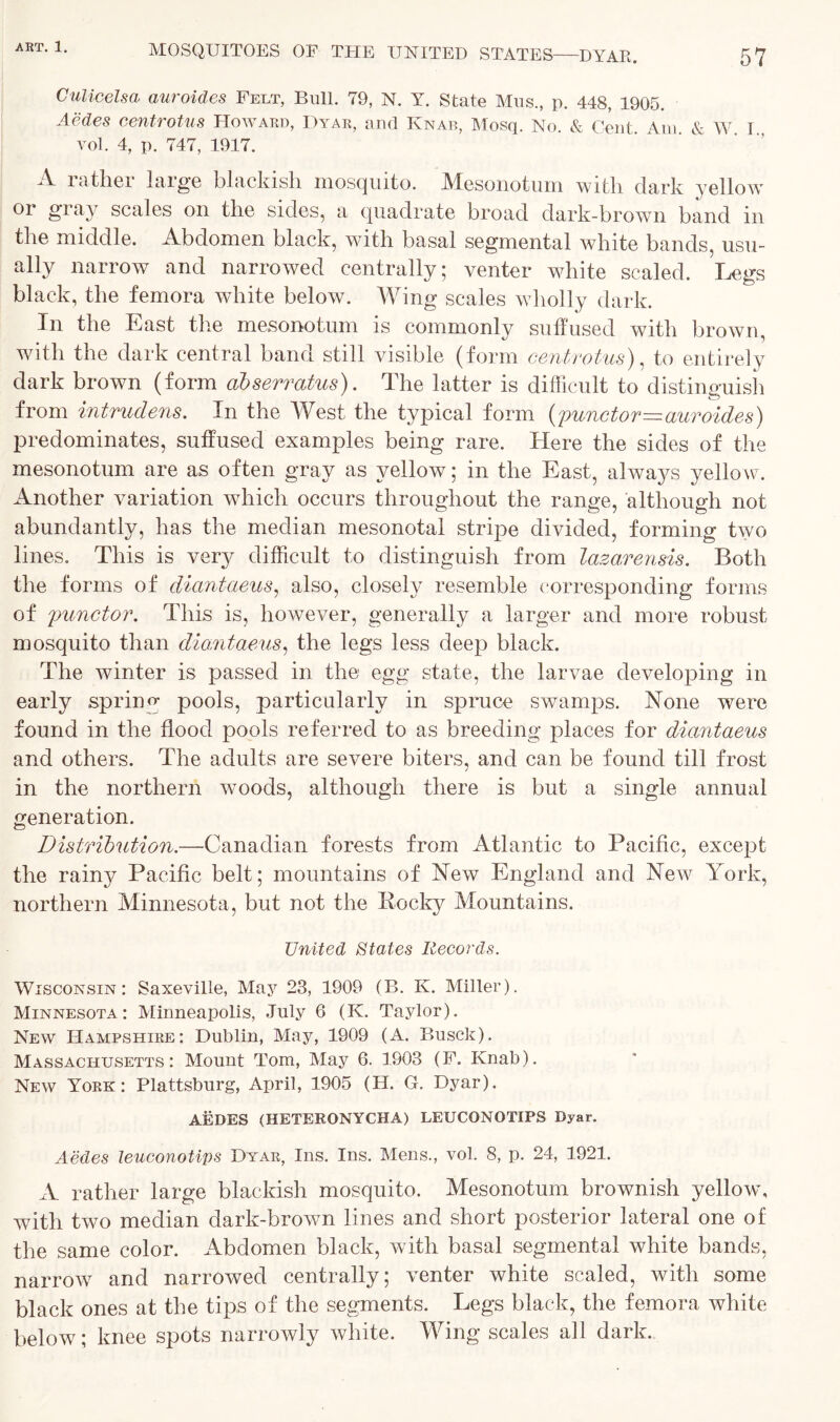 Culicelsa auroides Felt, Bull. 79, N. Y. State Mus., p. 448, 1905. Aedes centrotus Howard, Dyar, and Knab, Mosq. No. & Cent Am & W I vol. 4, p. 747, 1917. A rather large blackish mosquito. Mesonotum with dark yellow or gray scales on the sides, a quadrate broad dark-brown band in the middle. Abdomen black, with basal segmental white bands, usu- ally narrow and narrowed centrally; venter white scaled. Legs black, the femora white below. Wing scales wholly dark. In the East the mesonotum is commonly suffused with brown, with the dark central band still visible (form centrotus), to entirely dark brown (form abserratus). The latter is difficult to distinguish from intrudens. In the West the typical form functor—auroides) predominates, suffused examples being rare. Here the sides of the mesonotum are as often gray as yellow; in the East, always yellow. Another variation which occurs throughout the range, although not abundantly, has the median mesonotal stripe divided, forming two lines. This is very difficult to distinguish from lazarensis. Both the forms of diantaeus, also, closely resemble corresponding forms of functor. This is, however, generally a larger and more robust mosquito than diantaeus, the legs less deep black. The winter is passed in the egg state, the larvae developing in early spring pools, particularly in spruce swamps. None were found in the flood pools referred to as breeding places for diantaeus and others. The adults are severe biters, and can be found till frost in the northern woods, although there is but a single annual generation. Distribution.—Canadian forests from Atlantic to Pacific, except the rain}^ Pacific belt; mountains of New England and New York, northern Minnesota, but not the Pocky Mountains. United States Records. Wisconsin: Saxeville, May 23, 1909 (B. K. Miller). Minnesota: Minneapolis, July 6 (K. Taylor). New Hampshire: Dublin, May, 1909 (A. Busck). Massachusetts: Mount Tom, May 6. 1903 (F. Knab). New York: Plattsburg, April, 1905 (H. G. Dyar). AEDES (HETERONYCHA) LEUCONOTIPS Dyar. Aedes leuconotips Dyar, Ins. Ins. Mens., vol. 8, p. 24, 1921. A rather large blackish mosquito. Mesonotum brownish yellow, with two median dark-brown lines and short posterior lateral one of the same color. Abdomen black, with basal segmental white bands, narrow7 and narrowed centrally; venter white scaled, with some black ones at the tips of the segments. Legs black, the femora white below; knee spots narrowly white. Wing scales all dark.