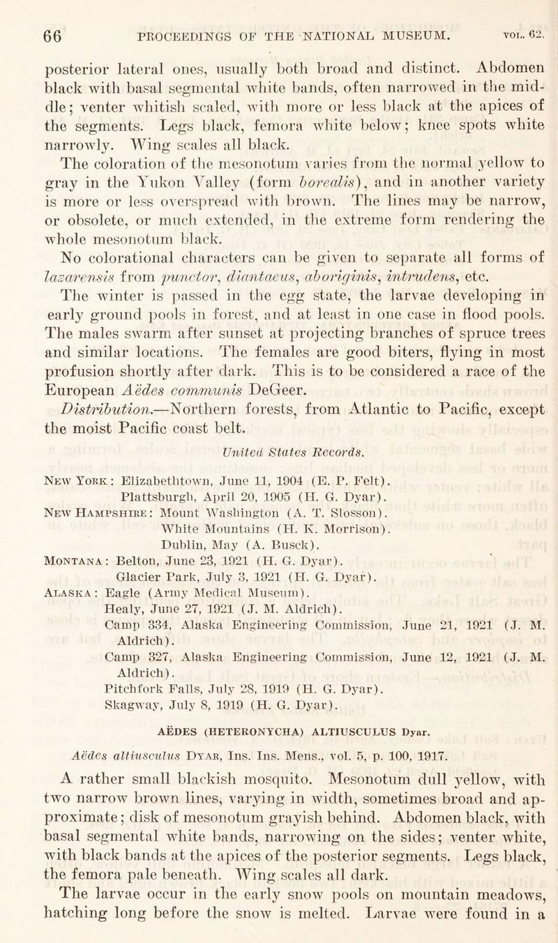 posterior lateral ones, usually both broad and distinct. Abdomen black with basal segmental white bands, often narrowed in the mid- dle; venter whitish scaled, with more or less black at the apices of the segments. Legs black, femora white below; knee spots white narrowly. Wing scales all black. The coloration of the mesonotum varies from the normal yellow to gray in the Yukon Valley (form borealis), and in another variety is more or less overspread with brown. The lines may be narrow, or obsolete, or much extended, in the extreme form rendering the whole mesonotum black. No colorational characters can be given to separate all forms of lazarensis from functor, diantaeus, ahoriginis, intruclens, etc. The winter is passed in the egg state, the larvae developing in early ground pools in forest, and at least in one case in flood pools. The males swarm after sunset at projecting branches of spruce trees and similar locations. The females are good biters, flying in most profusion shortly after dark. This is to be considered a race of the European Aedes communis DeGeer. Distribution.—Northern forests, from Atlantic to Pacific, except the moist Pacific coast belt. United States Records. New York: Elizabethtown, June 11, 1904 (E. F. Felt). Plattsburgh, April 20, 1905 (H. G. Dyar). New Hampshire : Mount Washington (A. T. Slosson). White Mountains (H. K. Morrison). Dublin, May (A. Busck). Montana: Belton, June 23, 1921 (II. G. Dyar). Glacier Park, July 3, 1921 (H. G. Dyar). Alaska: Eagle (Army Medical Museum). Healy, June 27, 1921 (J. M. Aldrich). Camp 334, Alaska Engineering Commission, June 21, 1921 (J. M. Aldrich). Camp 327, Alaska Engineering Commission, June 12, 1921 (J. M. Aldrich). Pitchfork Falls, July 28, 1919 (H. G. Dyar). Skagway, July 8, 1919 (H. G. Dyar). AEDES (HETERONYCHA) ALTIUSCULUS Dyar. Aedes altiusculus Dyar, Ins. Ins. Mens., vol. 5, p. 100, 1917. A rather small blackish mosquito. Mesonotum dull yellow, with two narrow brown lines, varying in width, sometimes broad and ap- proximate ; disk of mesonotum grayish behind. Abdomen black, with basal segmental white bands, narrowing on the sides; venter white, with black bands at the apices of the posterior segments. Legs black, the femora pale beneath. Wing scales all dark. The larvae occur in the early snow pools on mountain meadows, hatching long before the snow is melted. Larvae were found in a