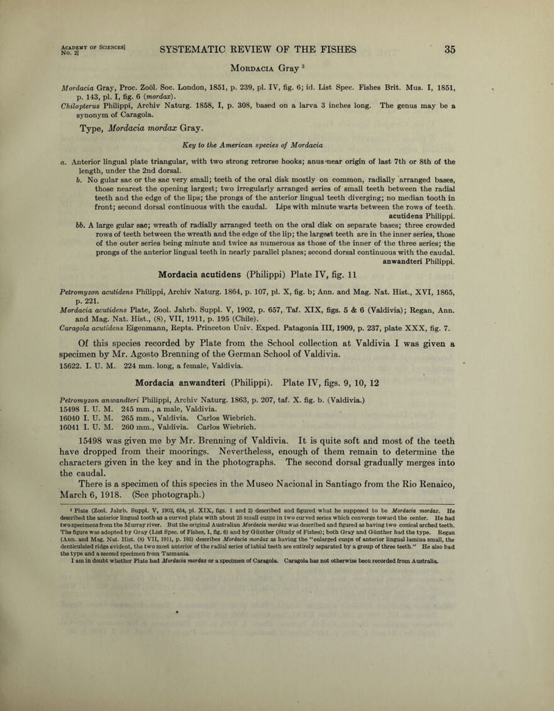 No. 2] SYSTEMATIC REVIEW OF THE FISHES 35 Mordacia Gray 3 Mordacia Gray, Proc. Zool. Soc. London, 1851, p. 239, pi. IV, fig. 6; id. List Spec. Fishes Brit. Mus. I, 1851, p. 143, pi. I, fig. 6 (mordax). Chilopterus Philippi, Archiv Naturg. 1858, I, p. 308, based on a larva 3 inches long. The genus may be a synonym of Caragola. Type, Mordacia mordax Gray. Key to the American species of Mordacia a. Anterior lingual plate triangular, with two strong retrorse hooks; anus near origin of last 7th or 8th of the length, under the 2nd dorsal. h. No gular sac or the sac very small; teeth of the oral disk mostly on common, radially arranged bases, those nearest the opening largest; two irregularly arranged series of small teeth between the radial teeth and the edge of the lips; the prongs of the anterior lingual teeth diverging; no median tooth in front; second dorsal continuous with the caudal. Lips with minute warts between the rows of teeth. acutidens Philippi. bb. A large gular sac; wreath of radially arranged teeth on the oral disk on separate bases; three crowded rows of teeth between the wreath and the edge of the lip; the largest teeth are in the inner series, those of the outer series being minute and twice as numerous as those of the inner of the three series; the prongs of the anterior lingual teeth in nearly parallel planes; second dorsal continuous with the caudal. anwandteri Philippi. Mordacia acutidens (Philippi) Plate IV, fig. 11 Petromyzon acutidens Philippi, Archiv Naturg. 1864, p. 107, pi. X, fig. b; Ann. and Mag. Nat. Hist., XVI, 1865, p. 221. Mordacia acutidens Plate, Zool. Jahrb. Suppl. V, 1902, p. 657, Taf. XIX, figs. 5 & 6 (Valdivia); Regan, Ann. and Mag. Nat. Hist., (8), VII, 1911, p. 195 (Chile). Caragola acutidens Eigenmann, Repts. Princeton Univ. Exped. Patagonia III, 1909, p. 237, plate XXX, fig. 7. Of this species recorded by Plate from the School collection at Valdivia I was given a specimen by Mr. Agosto Brenning of the German School of Valdivia. 15622. I. U. M. 224 mm. long, a female, Valdivia. Mordacia anwandteri (Philippi). Plate IV, figs. 9, 10, 12 Petromyzon anwandteri Philippi, Archiv Naturg. 1863, p. 207, taf. X. fig. b. (Valdivia.) 15498 I. U. M. 245 mm., a male, Valdivia. 16040 I. U. M. 265 mm., Valdivia. Carlos Wiebrich. 16041 I. U. M. 260 mm., Valdivia. Carlos Wiebrich. 15498 was given me by Mr. Brenning of Valdivia. It is quite soft and most of the teeth have dropped from their moorings. Nevertheless, enough of them remain to determine the characters given in the key and in the photographs. The second dorsal gradually merges into the caudal. There is a specimen of this species in the Museo Nacional in Santiago from the Rio Renaico, March 6, 1918. (See photograph.) 3 Plate (Zool. Jahrb. Suppl. V, 1902, 654, pi. XIX, figs. 1 and 2) described and figured what he supposed to be Mordacia mordax. He described the anterior lingual tooth as a curved plate with about 25 small cusps in two curved series which converge toward the center. He had two specimens from the Murray river. But the original Australian Mordacia mordax was described and figured as having two conical arched teeth. The figure was adopted by Gray (List Spec, of Fishes, I, fig. 6) and by Gunther (Study of Fishes); both Gray and Gunther had the type. Regan (Ann. and Mag. Nat. Hist. (8) VII, 1911, p. 195) describes Mordacia mordax as having the “enlarged cusps of anterior lingual lamina small, the denticulated ridge evident, the two most anterior of the radial series of labial teeth are entirely separated by a group of three teeth.” He also had the type and a second specimen from Tasmania.