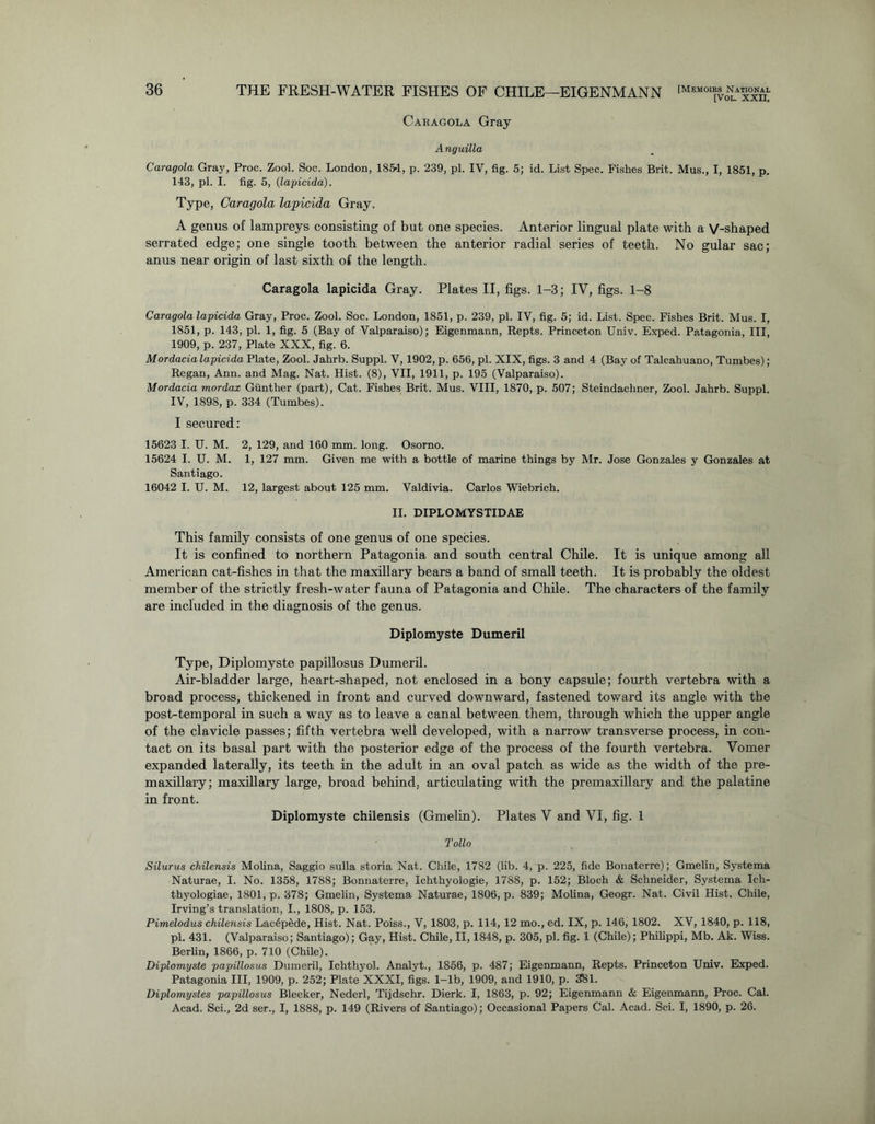 Cabagola Gray A nguilla Caragola Gray, Proc. Zool. Soc. London, 185-1, p. 239, pi. IV, fig. 5; id. List Spec. Fishes Brit. Mus., I, 1851, p. 143, pi. I. fig. 5, (lapicida). Type, Caragola lapicida Gray. A genus of lampreys consisting of but one species. Anterior lingual plate with a V-shaped serrated edge; one single tooth between the anterior radial series of teeth. No gular sac; anus near origin of last sixth of the length. Caragola lapicida Gray. Plates II, figs. 1-3; IV, figs. 1-8 Caragola lapicida Gray, Proc. Zool. Soc. London, 1851, p. 239, pi. IV, fig. 5; id. List. Spec. Fishes Brit. Mus. I, 1851, p. 143, pi. 1, fig. 5 (Bay of Valparaiso); Eigenmann, Repts. Princeton Univ. Exped. Patagonia, III, 1909, p. 237, Plate XXX, fig. 6. Mordacia lapicida Plate, Zool. Jahrb. Suppl. V, 1902, p. 656, pi. XIX, figs. 3 and 4 (Bay of Talcahuano, Tumbes); Regan, Ann. and Mag. Nat. Hist. (8), VII, 1911, p. 195 (Valparaiso). Mordacia mordax Gunther (part), Cat. Fishes Brit. Mus. VIII, 1870, p. 507; Steindachner, Zool. Jahrb. Suppl. IV, 1898, p. 334 (Tumbes). I secured: 15623 I. U. M. 2, 129, and 160 mm. long. Osorno. 15624 I. U. M. 1, 127 mm. Given me with a bottle of marine things by Mr. Jose Gonzales y Gonzales at Santiago. 16042 I. U. M. 12, largest about 125 mm. Valdivia. Carlos Wiebrich. II. DIPLOMYSTIDAE This family consists of one genus of one species. It is confined to northern Patagonia and south central Chile. It is unique among all American cat-fishes in that the maxillary bears a band of small teeth. It is probably the oldest member of the strictly fresh-water fauna of Patagonia and Chile. The characters of the family are included in the diagnosis of the genus. Diplomyste Dumeril Type, Diplomyste papillosus Dumeril. Air-bladder large, heart-shaped, not enclosed in a bony capsule; fourth vertebra with a broad process, thickened in front and curved downward, fastened toward its angle with the post-temporal in such a way as to leave a canal between them, through which the upper angle of the clavicle passes; fifth vertebra well developed, with a narrow transverse process, in con- tact on its basal part with the posterior edge of the process of the fourth vertebra. Vomer expanded laterally, its teeth in the adult in an oval patch as wide as the width of the pre- maxillary; maxillary large, broad behind, articulating with the premaxillary and the palatine in front. Diplomyste chilensis (Gmelin). Plates V and VI, fig. 1 Tollo Silurus chilensis Molina, Saggio sulla storia Nat. Chile, 1782 (lib. 4, p. 225, fide Bonaterre); Gmelin, Systema Naturae, I. No. 1358, 1788; Bonnaterre, Ichthyologie, 1788, p. 152; Bloch & Schneider, Systema Ich- thyologiae, 1801, p. 378; Gmelin, Systema Naturae, 1806, p. 839; Molina, Geogr. Nat. Civil Hist. Chile, Irving’s translation, I., 1808, p. 153. Pimelodus chilensis Lac6pede, Hist. Nat. Poiss., V, 1803, p. 114, 12 mo., ed. IX, p. 146, 1802. XV, 1840, p. 118, pi. 431. (Valparaiso; Santiago); Gay, Hist. Chile, II, 1848, p. 305, pi. fig. 1 (Chile); Philippi, Mb. Ak. Wiss. Berlin, 1866, p. 710 (Chile). Diplomyste papillosus Dumeril, Ichthyol. Analyt., 1856, p. 487; Eigenmann, Repts. Princeton Univ. Exped. Patagonia III, 1909, p. 252; Plate XXXI, figs. 1-lb, 1909, and 1910, p. 381. Diplomystes papillosus Bleeker, Nederl, Tijdschr. Dierk. I, 1863, p. 92; Eigenmann & Eigenmann, Proc. Cal. Acad. Sci., 2d ser., I, 1888, p. 149 (Rivers of Santiago); Occasional Papers Cal. Acad. Sci. I, 1890, p. 26.