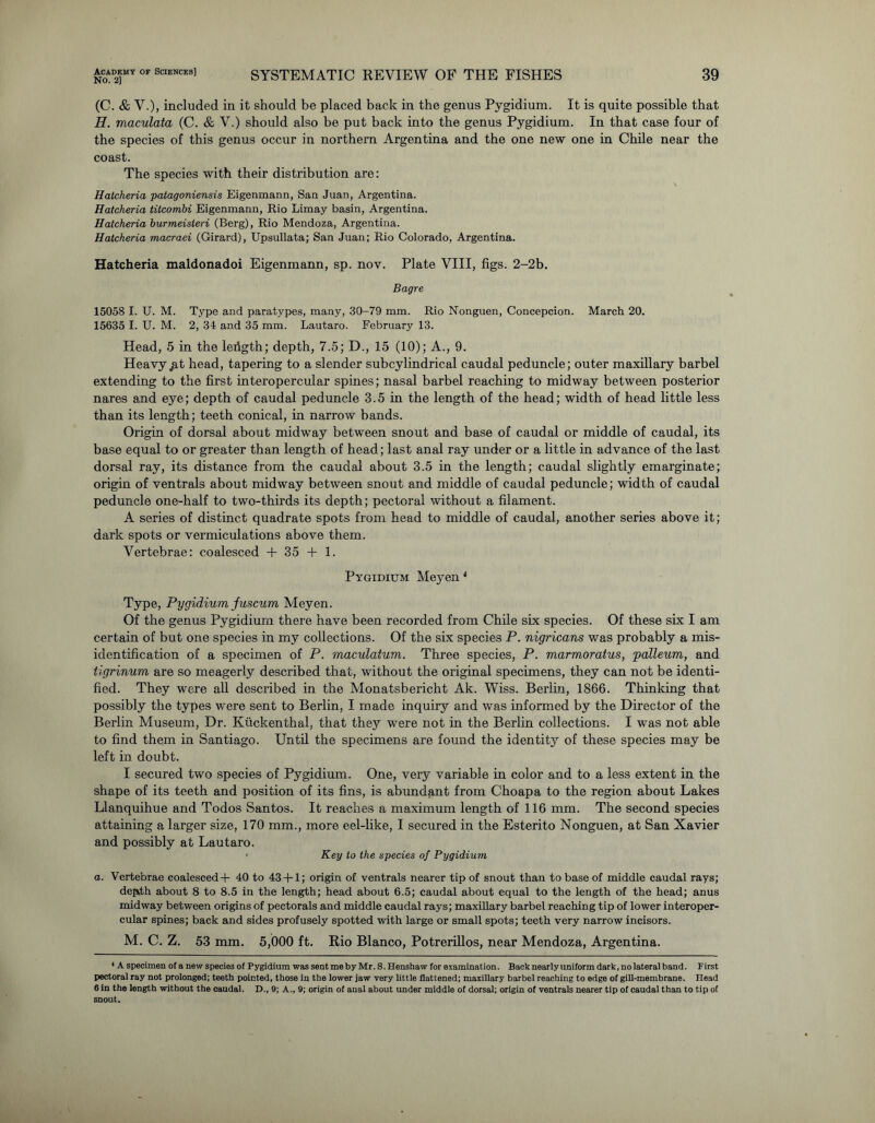 No. 2] SYSTEMATIC REVIEW OF THE FISHES 39 (C. & V.), included in it should be placed back in the genus Pygidium. It is quite possible that H. maculata (C. & V.) should also be put back into the genus Pygidium. In that case four of the species of this genus occur in northern Argentina and the one new one in Chile near the coast. The species with their distribution are: Hatcheria patagoniensis Eigenmann, San Juan, Argentina. Hatcheria titcombi Eigenmann, Rio Limay basin, Argentina. Hatcheria burmeisteri (Berg), Rio Mendoza, Argentina. Hatcheria macraei (Girard), Upsullata; San Juan; Rio Colorado, Argentina. Hatcheria maldonadoi Eigenmann, sp. nov. Plate VIII, figs. 2-2b. Bagre 15058 I. U. M. Type and paratvpes, many, 30-79 mm. Rio Nonguen, Concepcion. March 20. 15635 I. U. M. 2, 34 and 35 mm. Lautaro. February 13. Head, 5 in the leiigth; depth, 7.5; D., 15 (10); A., 9. Heavy &t head, tapering to a slender subcylindrical caudal peduncle; outer maxillary barbel extending to the first interopercular spines; nasal barbel reaching to midway between posterior nares and eye; depth of caudal peduncle 3.5 in the length of the head; width of head little less than its length; teeth conical, in narrow bands. Origin of dorsal about midway between snout and base of caudal or middle of caudal, its base equal to or greater than length of head.; last anal ray under or a little in advance of the last dorsal ray, its distance from the caudal about 3.5 in the length; caudal slightly emarginate; origin of ventrals about midway between snout and middle of caudal peduncle; width of caudal peduncle one-half to two-thirds its depth; pectoral without a filament. A series of distinct quadrate spots from head to middle of caudal, another series above it; dark spots or vermiculations above them. Vertebrae: coalesced + 35 + 1. Pygidium Meyen4 * 6 Type, Pygidium fuscum Meyen. Of the genus Pygidium there have been recorded from Chile six species. Of these six I am certain of but one species in my collections. Of the six species P. nigricans was probably a mis- identification of a specimen of P. macuiatum. Three species, P. marmoratus, palleum, and tigrinum are so meagerly described that, without the original specimens, they can not be identi- fied. They were all described in the Monatsbericht Ak. Wiss. Berlin, 1866. Thinking that possibly the types were sent to Berlin, I made inquiry and was informed by the Director of the Berlin Museum, Dr. Kuckenthal, that they were not in the Berlin collections. I was not able to find them in Santiago. Until the specimens are found the identity of these species may be left in doubt. I secured two species of Pygidium. One, very variable in color and to a less extent in the shape of its teeth and position of its fins, is abundant from Choapa to the region about Lakes Llanquihue and Todos Santos. It reaches a maximum length of 116 mm. The second species attaining a larger size, 170 mm., more eel-like, I secured in the Esterito Nonguen, at San Xavier and possibly at Lautaro. Key to the species of Pygidium a. Vertebrae coalesced + 40 to 43 + 1; origin of ventrals nearer tip of snout than to base of middle caudal rays; deptth about 8 to 8.5 in the length; head about 6.5; caudal about equal to the length of the head; anus midway between origins of pectorals and middle caudal rays; maxillary barbel reaching tip of lower interoper- cular spines; back and sides profusely spotted with large or small spots; teeth very narrow incisors. M. C. Z. 53 mm. 5,000 ft. Rio Blanco, Potrerillos, near Mendoza, Argentina. 4 A specimen of a new species of Pygidium was sent me by Mr. S.Henshaw for examination. Back nearly uniform dark, no lateral band. First pectoral ray not prolonged; teeth pointed, those in the lower jaw very little flattened; maxillary barbel reaching to edge of gill-membrane. Head 6 in the length without the caudal. D., 9; A., 9; origin of anal about under middle of dorsal; origin of ventrals nearer tip of caudal than to tip of snout.