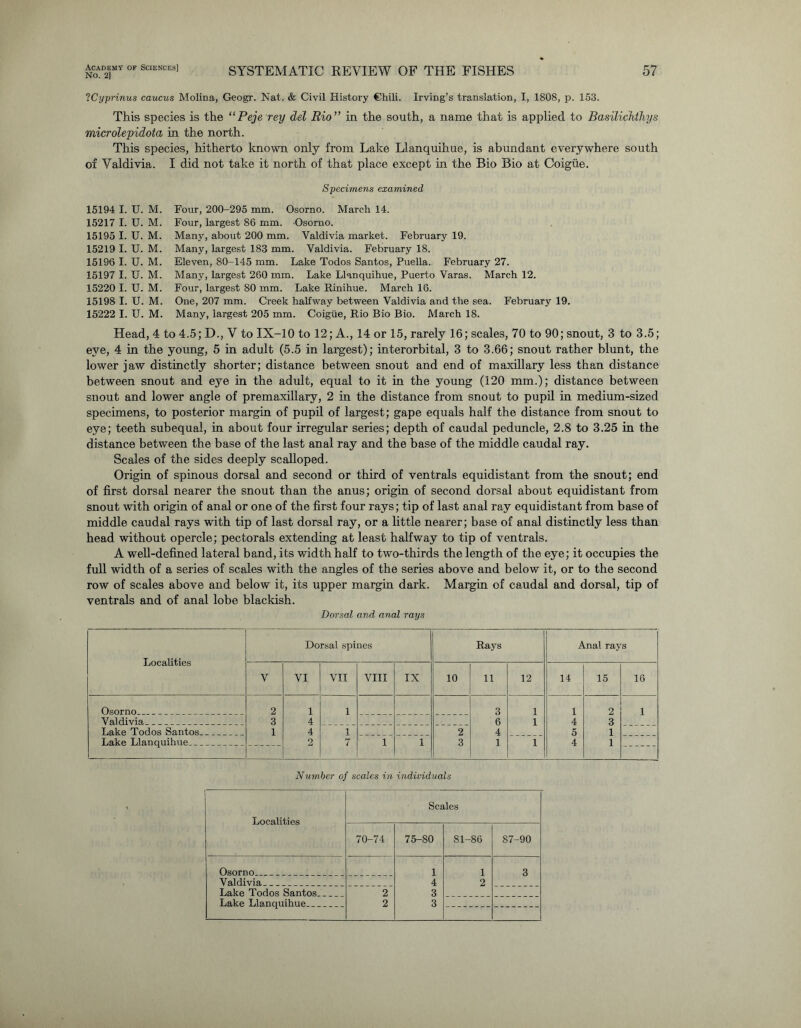 No. 2) SYSTEMATIC REVIEW OF THE FISHES 57 ICyprinus caucus Molina, Geogr. Nat. & Civil History Ghili. Irving’s translation, I, 1808, p. 153. This species is the “Peje rey del Rio ” in the south, a name that is applied to Basilichihys microlepidota in the north. This species, hitherto known only from Lake Llanquihue, is abundant everywhere south of Valdivia. I did not take it north of that place except in the Bio Bio at Coigiie. Specimens examined 15194 I. U. M. 15217 I. U. M. 15195 I. U. M. 15219 I. U. M. 15196 I. U. M. 15197 I. U. M. 15220 I. U. M. 15198 I. U. M. 15222 I. U. M. Four, 200-295 mm. Osorno. March 14. Four, largest 86 mm. Osorno. Many, about 200 mm. Valdivia market. February 19. Many, largest 183 mm. Valdivia. February 18. Eleven, 80-145 mm. Lake Todos Santos, Puella. February 27. Many, largest 260 mm. Lake Llanquihue, Puerto Varas. March 12. Four, largest 80 mm. Lake Rinihue. March 16. One, 207 mm. Creek halfway between Valdivia and the sea. February 19. Many, largest 205 mm. Coigiie, Rio Bio Bio. March 18. Head, 4 to 4.5; D., V to IX-10 to 12; A., 14 or 15, rarely 16; scales, 70 to 90; snout, 3 to 3.5; eye, 4 in the young, 5 in adult (5.5 in largest); interorbital, 3 to 3.66; snout rather blunt, the lower jaw distinctly shorter; distance between snout and end of maxillary less than distance between snout and eye in the adult, equal to it in the young (120 mm.); distance between snout and lower angle of premaxillary, 2 in the distance from snout to pupil in medium-sized specimens, to posterior margin of pupil of largest; gape equals half the distance from snout to eye; teeth subequal, in about four irregular series; depth of caudal peduncle, 2.8 to 3.25 in the distance between the base of the last anal ray and the base of the middle caudal ray. Scales of the sides deeply scalloped. Origin of spinous dorsal and second or third of ventrals equidistant from the snout; end of first dorsal nearer the snout than the anus; origin of second dorsal about equidistant from snout with origin of anal or one of the first four rays; tip of last anal ray equidistant from base of middle caudal rays with tip of last dorsal ray, or a little nearer; base of anal distinctly less than head without opercle; pectorals extending at least halfway to tip of ventrals. A well-defined lateral band, its width half to two-thirds the length of the eye; it occupies the full width of a series of scales with the angles of the series above and below it, or to the second row of scales above and below it, its upper margin dark. Margin of caudal and dorsal, tip of ventrals and of anal lobe blackish. Dorsal and anal rays Localities Dorsal spines Rays 1 Anal rays V VI VII VIII IX 10 11 12 14 15 16 Osorno . . . 2 1 1 3 1 1 2 1 Valdivia 3 4 6 1 4 3 Lake Todos Santos. 1 4 1 2 4 5 1 Lake Llanquihue. 2 7 1 1 3 1 1 4 1 Number of scales in individuals Localities Osorno Valdivia Lake Todos Santos. Lake Llanquihue Scales 70-74 75-80 81-86 87-90 1 1 3 4 2 2 3 2 3