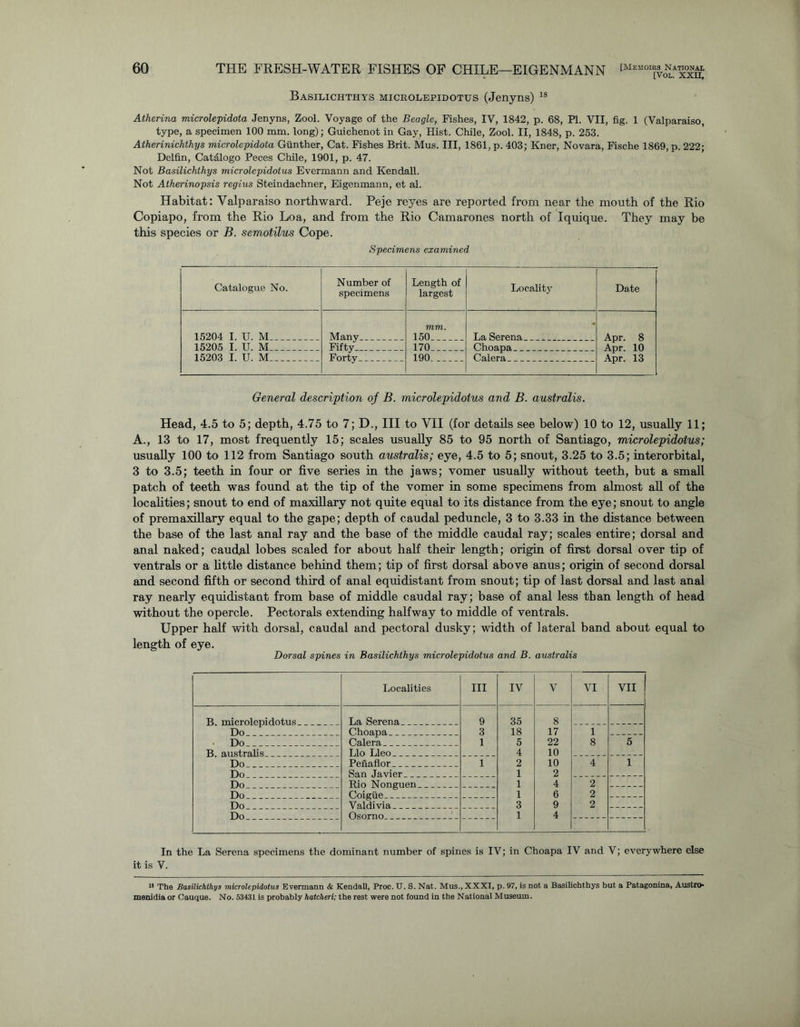 Basilichthys microlepidotus (Jenyns) 18 Atherina microlepidota Jenyns, Zool. Voyage of the Beagle, Fishes, IV, 1842, p. 68, PI. VII, fig. 1 (Valparaiso, type, a specimen 100 mm. long); Guichenot in Gay, Hist. Chile, Zool. II, 1848, p. 253. Atherinichthys microlepidota Gunther, Cat. Fishes Brit. Mus. Ill, 1861, p. 403; Kner, Novara, Fische 1869, p. 222; Delfin, Catdlogo Peces Chile, 1901, p. 47. Not Basilichthys microlepidotus Evermann and Kendall. Not Atherinopsis regius Steindachner, Eigenmann, et al. Habitat: Valparaiso northward. Peje reyes are reported from near the mouth of the Rio Copiapo, from the Rio Loa, and from the Rio Camarones north of Iquique. They may be this species or B. semotilus Cope. Specimens examined Catalogue No. Number of specimens Length of largest Locality Date 15204 I. U. M Many. mm. 150 La Serena. Apr. 8 Apr. 10 Apr. 13 15205 I. U. M Fifty . 170 Choapa 15203 I. U. M Forty 190 Calera General description oj B. microlepidotus and B. australis. Head, 4.5 to 5; depth, 4.75 to 7; D., Ill to VII (for details see below) 10 to 12, usually 11; A., 13 to 17, most frequently 15; scales usually 85 to 95 north of Santiago, microlepidotus; usually 100 to 112 from Santiago south australis; eye, 4.5 to 5; snout, 3.25 to 3.5; interorbital, 3 to 3.5; teeth in four or five series in the jaws; vomer usually without teeth, but a small patch of teeth was found at the tip of the vomer in some specimens from almost all of the localities; snout to end of maxillary not quite equal to its distance from the eye; snout to angle of premaxillary equal to the gape; depth of caudal peduncle, 3 to 3.33 in the distance between the base of the last anal ray and the base of the middle caudal ray; scales entire; dorsal and anal naked; caudal lobes scaled for about half their length; origin of first dorsal over tip of ventrals or a little distance behind them; tip of first dorsal above anus; origin of second dorsal and second fifth or second third of anal equidistant from snout; tip of last dorsal and last anal ray nearly equidistant from base of middle caudal ray; base of anal less than length of head without the opercle. Pectorals extending halfway to middle of ventrals. Upper half with dorsal, caudal and pectoral dusky; width of lateral band about equal to length of eye. Dorsal spines in Basilichthys microlepidotus and B. australis Localities III IV V VI VII B. microlepidotus La Serena 9 35 8 Do Choapa 3 18 17 1 Do Calera 1 5 22 8 5 B. australis Llo Lleo 4 10 Do Penaflor 1 2 10 4 1 Do San Javier 1 2 Do Rio Nonguen 1 4 2 Do Coigue 1 6 2 Do Valdivia 3 9 2 Do Osorno _ _ 1 4 In the La Serena specimens the dominant number of spines is IV; in Choapa IV and V; everywhere else it is V. 18 The Basilichthys microlepidotus Evermann & Kendall, Proc. U. S. Nat. Mus., XXXI, p. 97, is not a Basilichthys but a Patagonina, Austro- menidia or Cauque. No. 53431 is probably hatcheri: the rest were not found in the National Museum.