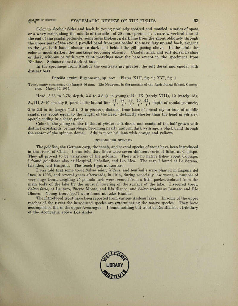 No. 2] SYSTEMATIC REVIEW OF THE FISHES 63 Color in alcohol: Sides and back in young profusely spotted and mottled, a series of spots or a wavy stripe along the middle of the sides, of 20 mm. specimens; a narrow vertical line at the end of the caudal peduncle, sometimes broken; a dark line from the snout obliquely through the upper part of the eye; a parallel band from just behind the maxillary up and back, tangent to the eye, both bands obscure; a dark spot behind the gill-opening above. In the adult the color is much darker, the markings becoming obscure. Caudal, anal, and soft dorsal hyaline or dark, without or with very faint markings near the base except in the specimens from Rinihue. Spinous dorsal dark at base. In the specimens from Rinihue the contrasts are greater, the soft dorsal and caudal with distinct bars. Percilia irwini Eigenmann, sp. nov. Plates XIII, fig. 2; XVI, fig. 1 Types, many specimens, the largest 96 mm. Rio Nonguen, in the grounds of the Agricultural School, Concep- cion. March 20, 1919. Head, 3.66 to 3.75; depth, 3.5 to 3.8 (4 in young); D., IX (rarely VIII), 12 (rarely 13); A., Ill, 8-10, usually 9; pores in the lateral line depth of caudal peduncle, 1 T O 1 I 2 to 2.5 in its length (1.5 to 2 in gillissi); distance from base of dorsal ray to base of middle caudal ray about equal to the length of the head (distinctly shorter than the head in gillissi); opercle ending in a sharp point. Color in the young similar to that of gillissi; soft dorsal and caudal of the half grown with distinct crossbands, or marblings, becoming nearly uniform dark with age, a black band through the center of the spinous dorsal. Adults most brilliant with orange and yellows. INTRODUCED SPECIES The goldfish, the German carp, the tench, and several species of trout have been introduced in the rivers of Chile. I was told that there were seven different sorts of fishes at Copiapo. They all proved to be variations of the goldfish. There are no native fishes abput Copiapo. I found goldfishes also at Hospital, Penaflor, and Llo Lleo. The carp I found at La Serena, Llo Lleo, and Hospital. The tench I got at Lautaro. I was told that some trout Salmo solar, irideus, and fontinalis were planted in Laguna del Inca in 1905, and several years afterwards, in 1914, during especially low water, a number of very large trout, weighing 25 pounds each were secured from a little pocket isolated from the main body of the lake by the unusual lowering of the surface of the lake. I secured trout, Salmo fario, at Lautaro, Puerto Montt, and Rio Blanco, and Salmo irideus at Lautaro and Rio Blanco. Young trout (sp.?) were found at Lake Rinihue. The introduced trout have been reported from various Andean lakes. In some of the upper reaches of the rivers the introduced species are exterminating the native species. They have accomplished this in the upper Aconcagua. I found nothing but trout at Rio Blanco, a tributary of the Aconcagua above Los Andes.