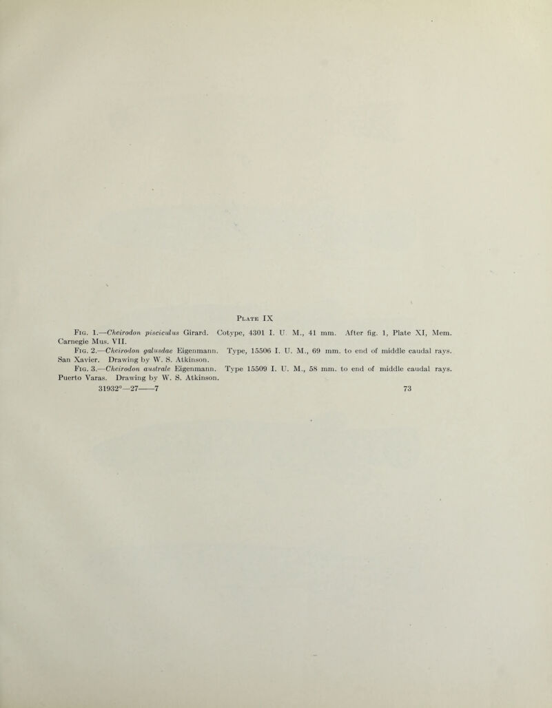 Fig. 1.—Cheirodon pisciculus Girard. Cotvpe, 4301 I. U. M., 41 mm. After fig. 1, Plate XI, Mem. Carnegie Mus. VII. Fig. 2.—Cheirodon galusdae Eigenmann. Type, 15506 I. U. M., 69 mm. to end of middle caudal rays. San Xavier. Drawing by W. S. Atkinson. Fig. 3.—Cheirodon australe Eigenmann. Type 15509 I. U. M., 58 mm. to end of middle caudal rays. Puerto Varas. Drawing by W. S. Atkinson.