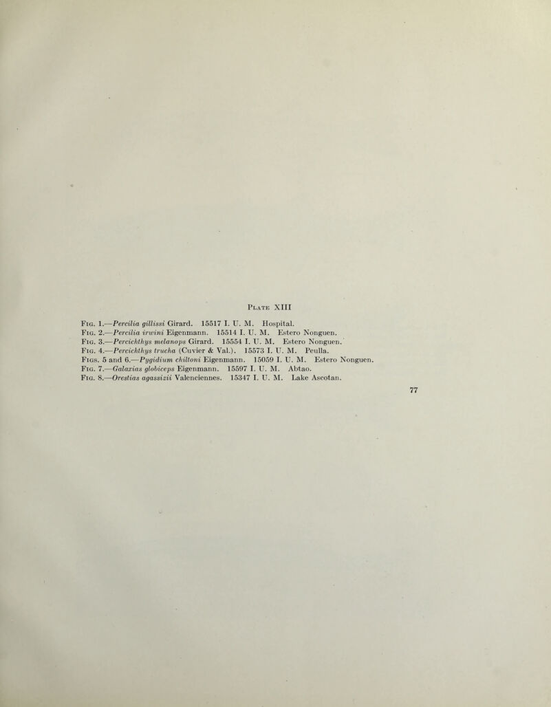 Fig. 1.—Percilia gillissi Girard. 15517 I. U. M. Hospital. Fig. 2.—Percilia irwini Eigenmann. 15514 I. U. M. Estero Nonguen. Fig. 3.—Percichthys melanops Girard. 15554 I. U. M. Estero Nonguen. Fig. 4.—Percichthys trucha (Cuvier & Val.). 15573 I. U. M. Peulla. Figs. 5 and 6.—Pygidium chiltoni Eigenmann. 15059 I. U. M. Estero Nonguen. Fig. 7.—Galaxias globiceps Eigenmann. 15597 I. U. M. Abtao. Fig. 8.—Orestias agassizii Valenciennes. 15347 I. U. M. Lake Ascotan.