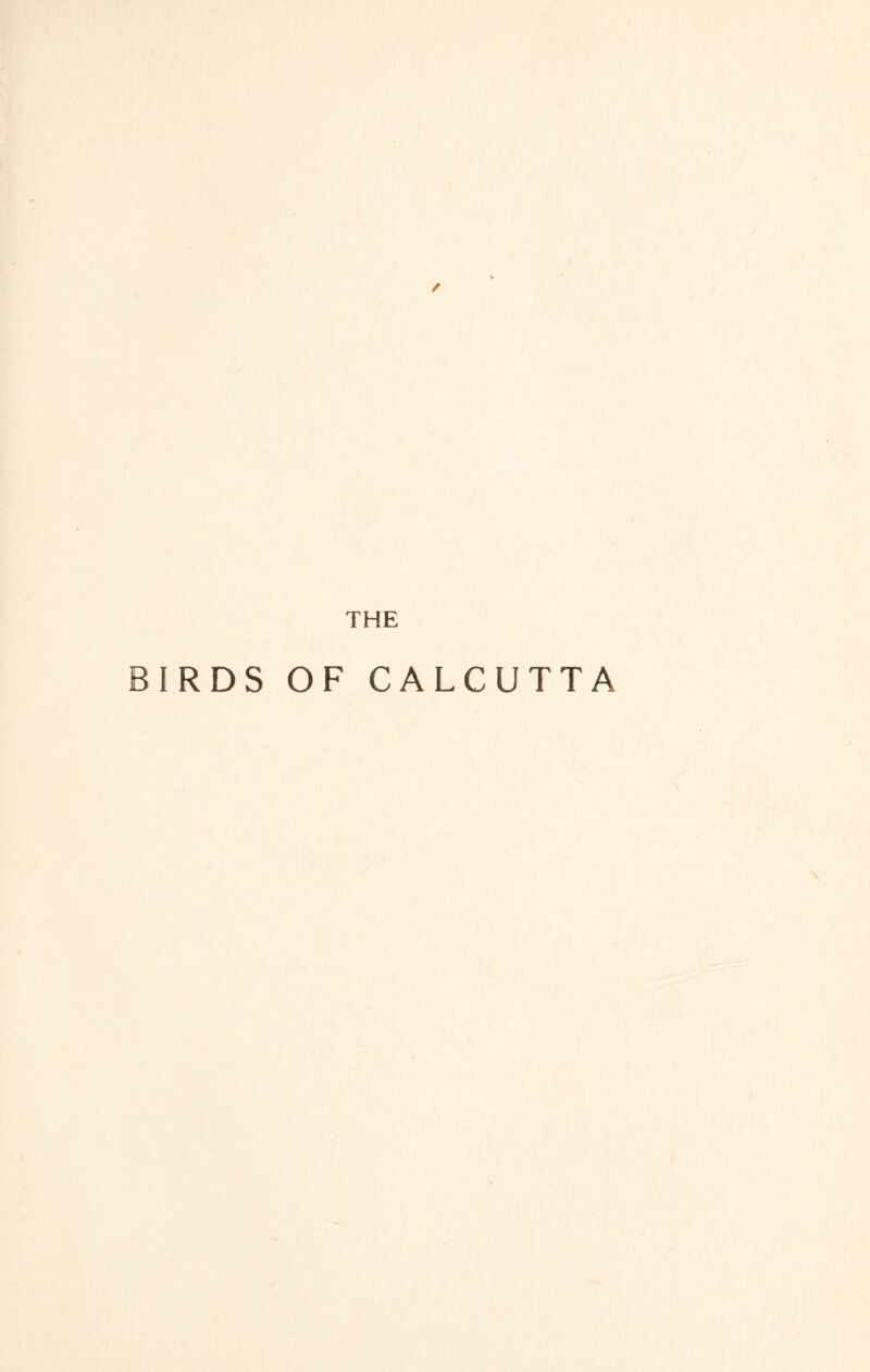 BIRDS OF CALCUTTA