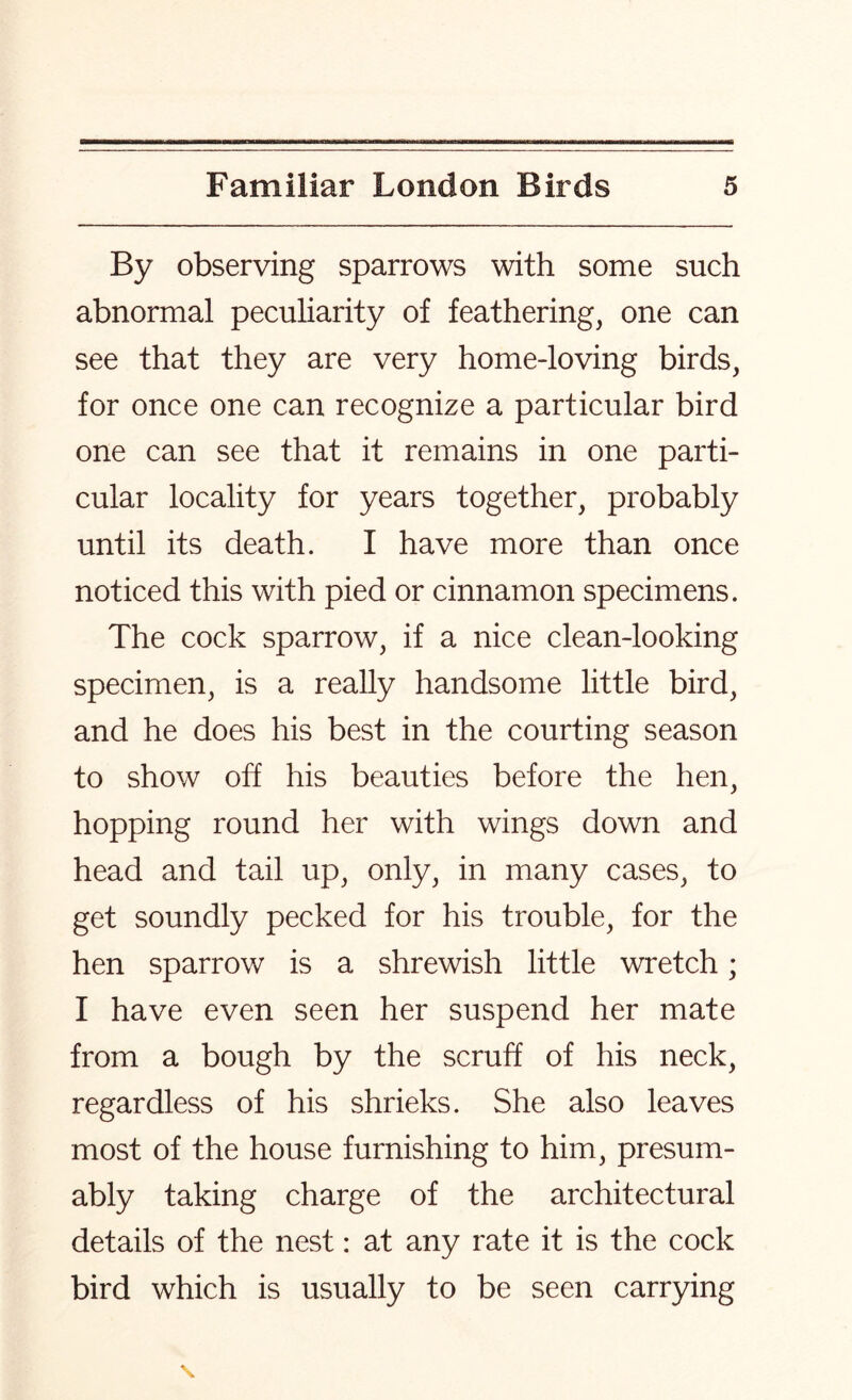 By observing sparrows with some such abnormal peculiarity of feathering, one can see that they are very home-loving birds, for once one can recognize a particular bird one can see that it remains in one parti- cular locality for years together, probably until its death. I have more than once noticed this with pied or cinnamon specimens. The cock sparrow, if a nice clean-looking specimen, is a really handsome little bird, and he does his best in the courting season to show off his beauties before the hen, hopping round her with wings down and head and tail up, only, in many cases, to get soundly pecked for his trouble, for the hen sparrow is a shrewish little wretch; I have even seen her suspend her mate from a bough by the scruff of his neck, regardless of his shrieks. She also leaves most of the house furnishing to him, presum- ably taking charge of the architectural details of the nest: at any rate it is the cock bird which is usually to be seen carrying