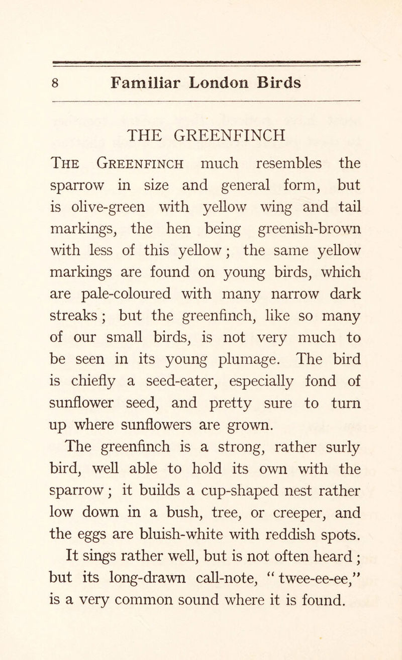 THE GREENFINCH The Greenfinch much resembles the sparrow in size and general form, but is olive-green with yellow wing and tail markings, the hen being greenish-brown with less of this yellow; the same yellow markings are found on young birds, which are pale-coloured with many narrow dark streaks; but the greenfinch, like so many of our small birds, is not very much to be seen in its young plumage. The bird is chiefly a seed-eater, especially fond of sunflower seed, and pretty sure to turn up where sunflowers are grown. The greenfinch is a strong, rather surly bird, well able to hold its own with the sparrow; it builds a cup-shaped nest rather low down in a bush, tree, or creeper, and the eggs are bluish-white with reddish spots. It sings rather well, but is not often heard ; but its long-drawn call-note, “ twee-ee-ee,” is a very common sound where it is found.