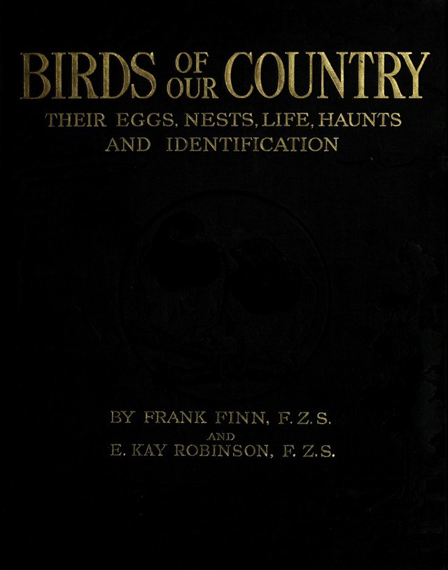 No text description is available for this image