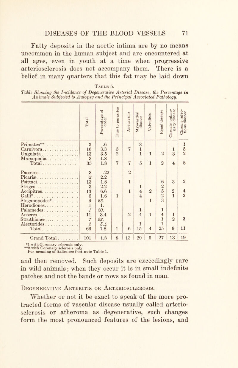Fatty deposits in the aortic intima are by no means uncommon in the human subject and are encountered at all ages, even in youth at a time when progressive arteriosclerosis does not accompany them. There is a belief in many quarters that this fat may be laid down Table 5. Table Showing the Incidence of Degenerative Arterial Disease, the Percentage in Animals Subjected to Autopsy and the Principal Associated Pathology. Total Percentage of order Due to parasites Aneurysms Myocardial disease Valvulitis Renal disease Chronic pulmo- nary disease Chronic infec- tious disease Primates** 3 .6 3 1 Carnivora 16 3.3 5 7 1 1 5 Ungulata 13 3.5 2 1 1 2 3 2 Marsupialia 3 1.8 Total 35 1.8 7 7 5 1 2 4 8 Passeres 3 .22 2 Picariae 2 2.2 Psittaci 13 1.8 1 6 3 2 Striges 3 2.2 1 2 Accipitres 13 6.6 1 4 2 5 2 4 Galli* 5 1.6 1 4 2 1 2 Steganopodes* 5 25. 1 3 Herodiones. 1 1. Palamedes 1 20. 1 1 Anseres 11 3.4 2 4 1 4 1 Struthiones 7 22. 1 2 3 Alectorides 2 54 1 1 Total 66 1.8 1 6 15 4 25 9 11 Grand Total 101 1.8 8 13 20 5 27 13 19 *1 with Coronary sclerosis only. **2 with Coronary sclerosis only. For meaning of italics see foot note Table 1. and then removed. Such deposits are exceedingly rare in wild animals; when they occur it is in small indefinite patches and not the bands or rows as found in man. Degenerative Arteritis or Arteriosclerosis. Whether or not it be exact to speak of the more pro- tracted forms of vascular disease usually called arterio- sclerosis or atheroma as degenerative, such changes form the most pronounced features of the lesions, and