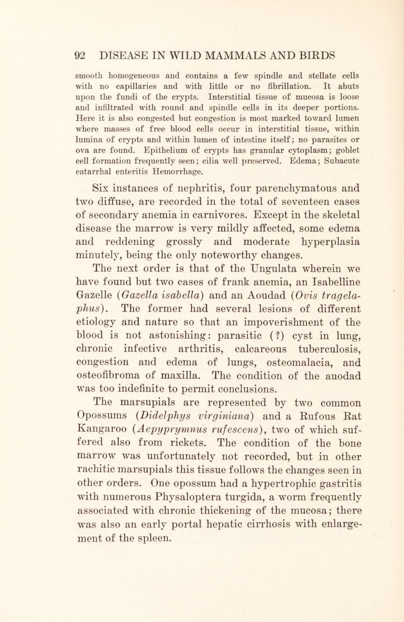 smooth homogeneous and contains a few spindle and stellate cells with no capillaries and with little or no fibrillation. It abuts upon the fundi of the crypts. Interstitial tissue of mucosa is loose and infiltrated with round and spindle cells in its deeper portions. Here it is also congested but congestion is most marked toward lumen where masses of free blood cells occur in interstitial tissue, within lumina of crypts and within lumen of intestine itself; no parasites or ova are found. Epithelium of crypts has granular cytoplasm; goblet cell formation frequently seen; cilia well preserved. Edema; Subacute catarrhal enteritis Elemorrhage. Six instances of nephritis, four parenchymatous and two diffuse, are recorded in the total of seventeen cases of secondary anemia in carnivores. Except in the skeletal disease the marrow is very mildly affected, some edema and reddening grossly and moderate hyperplasia minutely, being the only noteworthy changes. The next order is that of the Ungulata wherein we have found but two cases of frank anemia, an Isabelline Gazelle (Gazella Isabella) and an Aoudad (Ovis tragela- plius). The former had several lesions of different etiology and nature so that an impoverishment of the blood is not astonishing: parasitic (?) cyst in lung, chronic infective arthritis, calcareous tuberculosis, congestion and edema of lungs, osteomalacia, and osteofibroma of maxilla. The condition of the auodad was too indefinite to permit conclusions. The marsupials are represented by two common Opossums (Didelphys virginiana) and a Rufous Rat Kangaroo (Aepyprymnus rufescens), two of which suf- fered also from rickets. The condition of the bone marrow was unfortunately not recorded, hut in other rachitic marsupials this tissue follows the changes seen in other orders. One opossum had a hypertrophic gastritis with numerous Physaloptera turgida, a worm frequently associated with chronic thickening of the mucosa; there was also an early portal hepatic cirrhosis with enlarge- ment of the spleen.