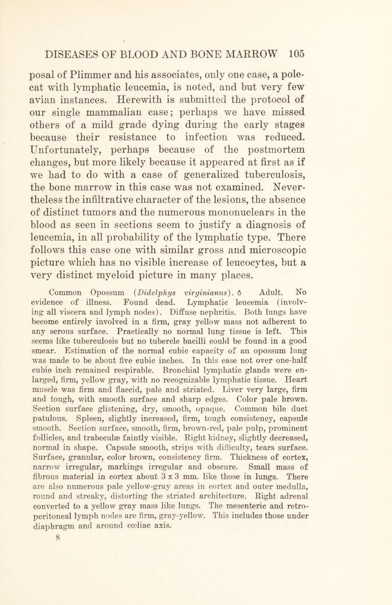 posal of Plimmer and his associates, only one case, a pole- cat with lymphatic leucemia, is noted, and but very few avian instances. Herewith is submitted the protocol of our single mammalian case; perhaps we have missed others of a mild grade dying during the early stages because their resistance to infection was reduced. Unfortunately, perhaps because of the postmortem changes, but more likely because it appeared at first as if we had to do with a case of generalized tuberculosis, the bone marrow in this case was not examined. Never- theless the infiltrative character of the lesions, the absence of distinct tumors and the numerous mononuclears in the blood as seen in sections seem to justify a diagnosis of leucemia, in all probability of the lymphatic type. There follows this case one with similar gross and microscopic picture which has no visible increase of leucocytes, but a very distinct myeloid picture in many places. Common Opossum (Didelphys virginianus). 6 Adult. No evidence of illness. Found dead. Lymphatic leucemia (involv- ing all viscera and lymph nodes). Diffuse nephritis. Both lungs have become entirely involved in a firm, gray yellow mass not adherent to any serous surface. Practically no normal lung tissue is left. This seems like tuberculosis but no tubercle bacilli could be found in a good smear. Estimation of the normal cubic capacity of an opossum lung was made to be about five cubic inches. In this case not over one-half cubic inch remained respirable. Bronchial lymphatic glands were en- larged, firm, yellow gray, with no recognizable lymphatic tissue. Heart muscle was firm and flaccid, pale and striated. Liver very large, firm and tough, with smooth surface and sharp edges. Color pale brown. Section surface glistening, dry, smooth, opaque. Common bile duct patulous. Spleen, slightly increased, firm, tough consistency, capsule smooth. Section surface, smooth, firm, brown-red, pale pulp, prominent follicles, and trabeculae faintly visible. Right kidney, slightly decreased, normal in shape. Capsule smooth, strips with difficulty, tears surface. Surface, granular, color brown, consistency firm. Thickness of cortex, narrow irregular, markings irregular and obscure. Small mass of fibrous material in cortex about 3x3 mm. like those in lungs. There are also numerous pale yellow-gray areas in cortex and outer medulla, round and streaky, distorting the striated architecture. Right adrenal converted to a yellow gray mass like lungs. The mesenteric and retro- peritoneal lymph nodes are firm, gray-yellow. This includes those under diaphragm and around coeliac axis. 8