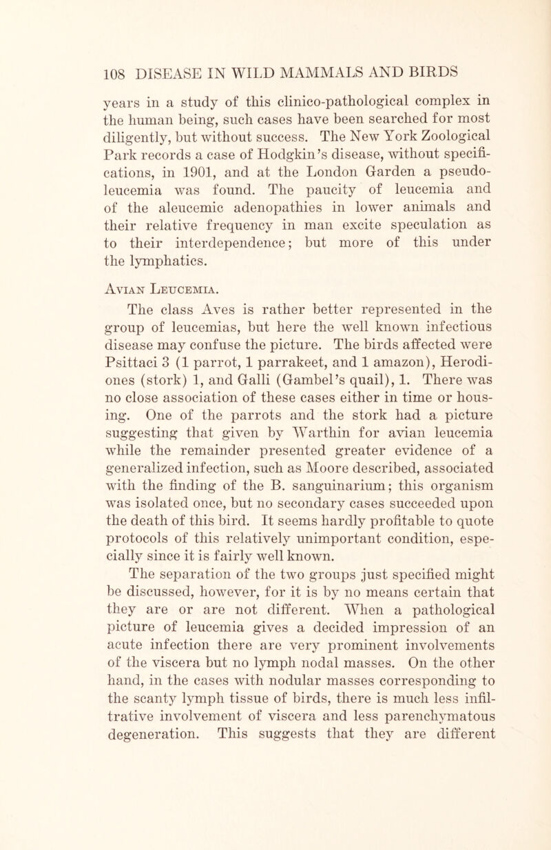 years in a study of this clinico-pathological complex in the human being, such cases have been searched for most diligently, but without success. The New York Zoological Park records a case of Hodgkin’s disease, without specifi- cations, in 1901, and at the London Garden a pseudo- leucemia was found. The paucity of leucemia and of the aleucemic adenopathies in lower animals and their relative frequency in man excite speculation as to their interdependence; but more of this under the lymphatics. Avian Leucemia. The class Aves is rather better represented in the group of leucemias, but here the well known infectious disease may confuse the picture. The birds affected were Psittaci 3 (1 parrot, 1 parrakeet, and 1 amazon), Herodi- ones (stork) 1, and Galli (Gambel’s quail), 1. There was no close association of these cases either in time or hous- ing. One of the parrots and the stork had a picture suggesting that given by Warthin for avian leucemia while the remainder presented greater evidence of a generalized infection, such as Moore described, associated with the finding of the B. sanguinarium; this organism was isolated once, but no secondary cases succeeded upon the death of this bird. It seems hardly profitable to quote protocols of this relatively unimportant condition, espe- cially since it is fairly well known. The separation of the two groups just specified might be discussed, however, for it is by no means certain that they are or are not different. When a pathological picture of leucemia gives a decided impression of an acute infection there are very prominent involvements of the viscera but no lymph nodal masses. On the other hand, in the cases with nodular masses corresponding to the scanty lymph tissue of birds, there is much less infil- trative involvement of viscera and less parenchymatous degeneration. This suggests that they are different