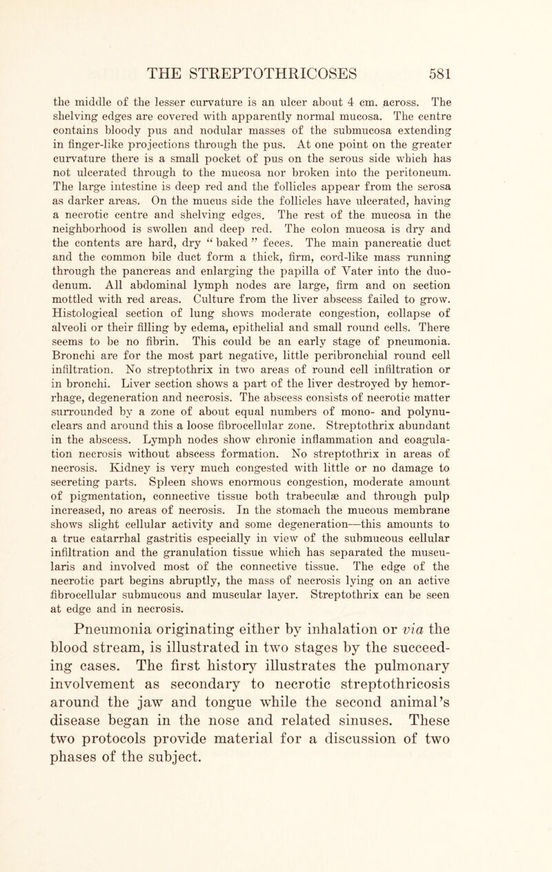 tlie middle of the lesser curvature is an ulcer about 4 cm. across. The shelving edges are covered with apparently normal mucosa. The centre contains bloody pus and nodular masses of the submucosa extending in finger-like projections through the pus. At one point on the greater curvature there is a small pocket of pus on the serous side which has not ulcerated through to the mucosa nor broken into the peritoneum. The large intestine is deep red and the follicles appear from the serosa as darker areas. On the mucus side the follicles have ulcerated, having a necrotic centre and shelving edges. The rest of the mucosa in the neighborhood is swollen and deep red. The colon mucosa is dry and the contents are hard, dry “ baked ” feces. The main pancreatic duct and the common bile duct form a thick, firm, cord-like mass running through the pancreas and enlarging the papilla of Vater into the duo- denum. All abdominal lymph nodes are large, firm and on section mottled with red areas. Culture from the liver abscess failed to grow. Histological section of lung shows moderate congestion, collapse of alveoli or their filling by edema, epithelial and small round cells. There seems to be no fibrin. This could be an early stage of pneumonia. Bronchi are for the most part negative, little peribronchial round cell infiltration. No streptothrix in two areas of round cell infiltration or in bronchi. Liver section shows a part of the liver destroyed by hemor- rhage, degeneration and necrosis. The abscess consists of necrotic matter surrounded by a zone of about equal numbers of mono- and polynu- clears and around this a loose fibrocellular zone. Streptothrix abundant in the abscess. Lymph nodes show chronic inflammation and coagula- tion necrosis without abscess formation. No streptothrix in areas of necrosis. Kidney is very much congested with little or no damage to secreting parts. Spleen shows enormous congestion, moderate amount of pigmentation, connective tissue both trabeculae and through pulp increased, no areas of necrosis. In the stomach the mucous membrane shows slight cellular activity and some degeneration—this amounts to a true catarrhal gastritis especially in view of the submucous cellular infiltration and the granulation tissue which has separated the muscu- laris and involved most of the connective tissue. The edge of the necrotic part begins abruptly, the mass of necrosis lying on an active fibrocellular submucous and muscular layer. Streptothrix can be seen at edge and in necrosis. Pneumonia originating either by inhalation or via the blood stream, is illustrated in two stages by the succeed- ing cases. The first history illustrates the pulmonary involvement as secondary to necrotic streptothricosis around the jaw and tongue while the second animaPs disease began in the nose and related sinuses. These two protocols provide material for a discussion of two phases of the subject.