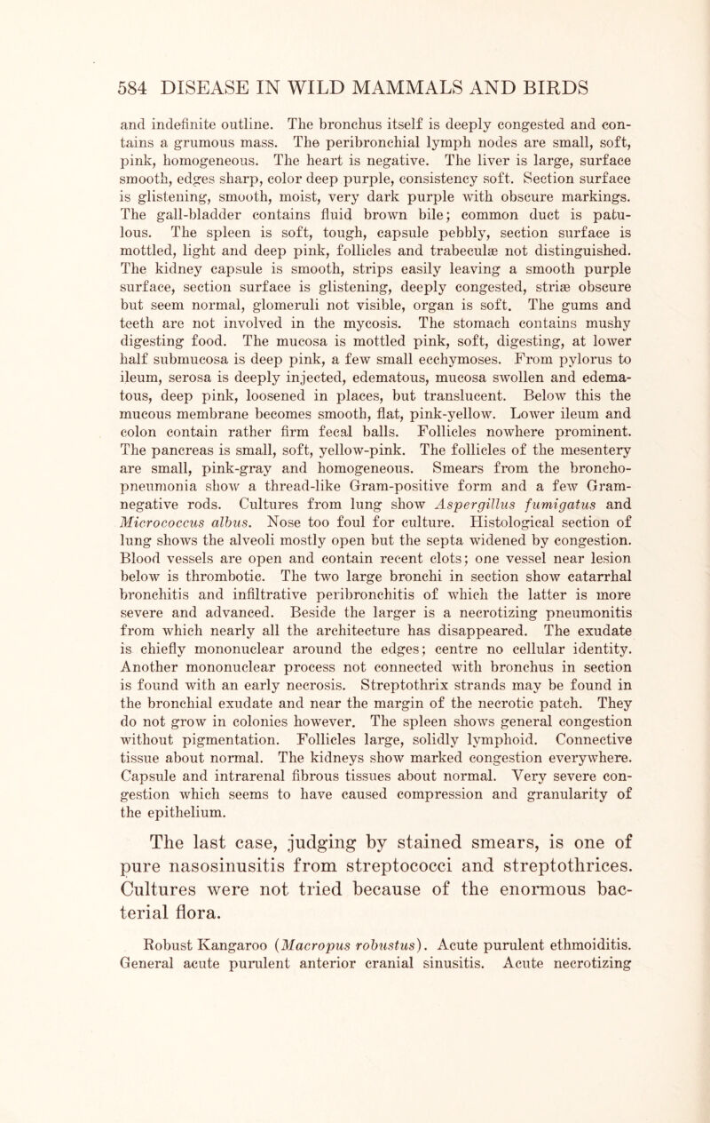 and indefinite outline. The bronchus itself is deeply congested and con- tains a grumous mass. The peribronchial lymph nodes are small, soft, pink, homogeneous. The heart is negative. The liver is large, surface smooth, edges sharp, color deep purple, consistency soft. Section surface is glistening, smooth, moist, very dark purple with obscure markings. The gall-bladder contains fluid brown bile; common duct is patu- lous. The spleen is soft, tough, capsule pebbly, section surface is mottled, light and deep pink, follicles and trabeculce not distinguished. The kidney capsule is smooth, strips easily leaving a smooth purple surface, section surface is glistening, deeply congested, striae obscure but seem normal, glomeruli not visible, organ is soft. The gums and teeth are not involved in the mycosis. The stomach contains mushy digesting food. The mucosa is mottled pink, soft, digesting, at lower half submucosa is deep pink, a few small ecchymoses. From pylorus to ileum, serosa is deeply injected, edematous, mucosa swollen and edema- tous, deep pink, loosened in places, but translucent. Below this the mucous membrane becomes smooth, flat, pink-yellow. Lower ileum and colon contain rather firm fecal balls. Follicles nowhere prominent. The pancreas is small, soft, yellow-pink. The follicles of the mesentery are small, pink-gray and homogeneous. Smears from the broncho- pneumonia show a thread-like Gram-positive form and a few Gram- negative rods. Cultures from lung show Aspergillus fumigatus and Micrococcus albus. Nose too foul for culture. Histological section of lung shows the alveoli mostly open but the septa widened by congestion. Blood vessels are open and contain recent clots; one vessel near lesion below is thrombotic. The two large bronchi in section show catarrhal bronchitis and infiltrative peribronchitis of which the latter is more severe and advanced. Beside the larger is a necrotizing pneumonitis from which nearly all the architecture has disappeared. The exudate is chiefly mononuclear around the edges; centre no cellular identity. Another mononuclear process not connected with bronchus in section is found with an early necrosis. Streptothrix strands may be found in the bronchial exudate and near the margin of the necrotic patch. They do not grow in colonies however. The spleen shows general congestion without pigmentation. Follicles large, solidly lymphoid. Connective tissue about normal. The kidneys show marked congestion everywhere. Capsule and intrarenal fibrous tissues about normal. Very severe con- gestion which seems to have caused compression and granularity of the epithelium. The last case, judging by stained smears, is one of pure nasosinusitis from streptococci and streptothrices. Cultures were not tried because of the enormous bac- terial flora. Robust Kangaroo (Macropus robustus). Acute purulent ethmoiditis. General acute purulent anterior cranial sinusitis. Acute necrotizing