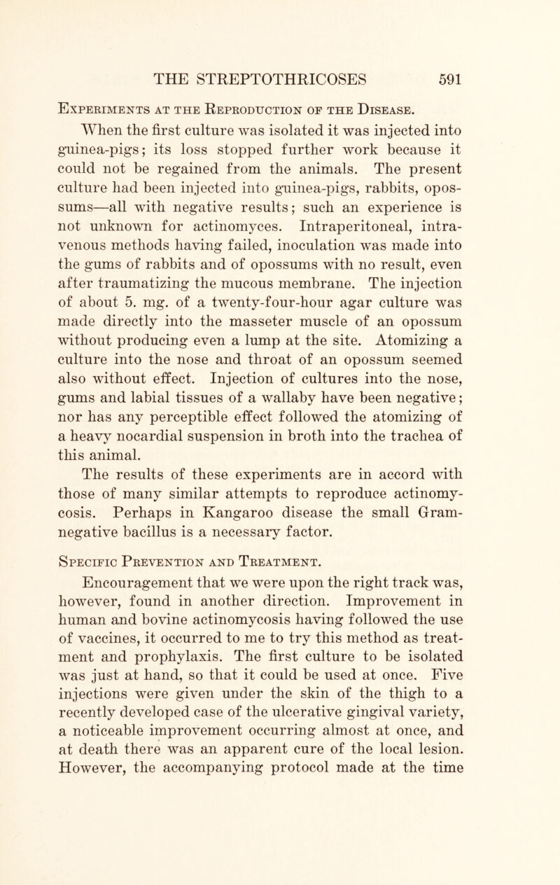 Experiments at the Reproduction of the Disease. When the first culture was isolated it was injected into guinea-pigs; its loss stopped further work because it could not be regained from the animals. The present culture had been injected into guinea-pigs, rabbits, opos- sums—all with negative results; such an experience is not unknown for actinomyces. Intraperitoneal, intra- venous methods having failed, inoculation was made into the gums of rabbits and of opossums with no result, even after traumatizing the mucous membrane. The injection of about 5. mg. of a twenty-four-hour agar culture was made directly into the masseter muscle of an opossum without producing even a lump at the site. Atomizing a culture into the nose and throat of an opossum seemed also without effect. Injection of cultures into the nose, gums and labial tissues of a wallaby have been negative; nor has any perceptible effect followed the atomizing of a heavy nocardial suspension in broth into the trachea of this animal. The results of these experiments are in accord with those of many similar attempts to reproduce actinomy- cosis. Perhaps in Kangaroo disease the small Gram- negative bacillus is a necessary factor. Specific Prevention and Treatment. Encouragement that we were upon the right track was, however, found in another direction. Improvement in human and bovine actinomycosis having followed the use of vaccines, it occurred to me to try this method as treat- ment and prophylaxis. The first culture to be isolated was just at hand, so that it could be used at once. Five injections were given under the skin of the thigh to a recently developed case of the ulcerative gingival variety, a noticeable improvement occurring almost at once, and at death there was an apparent cure of the local lesion. However, the accompanying protocol made at the time