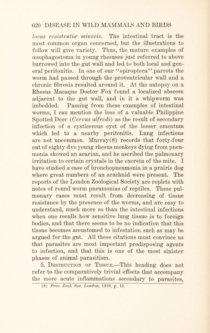 locus resistentice minoris. The intestinal tract is the most common organ concerned, but the illustrations to follow will give variety. Thus, the mature examples of cesophagostoma in young rhesuses just referred to above burrowed into the gut wall and led to both local and gen- eral peritonitis. In one of our “spiroptera” parrots the worm had passed through the proventricular wall and a chronic fibrosis resulted around it. At the autopsy on a Rhesus Macaque Doctor Fox found a localized abscess adjacent to the gut wall, and in it a whipworm was imbedded. Passing from these examples of intestinal worms, I can mention the loss of a valuable Philippine Spotted Deer (Cervus alfredi) as the result of secondary infection of a cysticercus cyst of the lesser omentum which led to a nearby peritonitis. Lung infections are not uncommon. Murray(8) records that forty-four out of eighty-five young rhesus monkeys dying from pneu- monia showed an acarian, and he ascribed the pulmonary irritation to certain crystals in the excreta of the mite. I have studied a case of bronchopneumonia in a prairie dog where great numbers of an arachnid were present. The reports of the London Zoological Society are replete with notes of round worm pneumonias of reptiles. These pul- monary cases must result from decreasing of tissue resistance by the presence of the worms, and are easy to understand, much more so than the intestinal infections when one recalls how sensitive lung tissue is to foreign bodies, and that there seems to be no indication that this tissue becomes accustomed to infestation such as may be argued for the gut. All these citations must convince us that parasites are most important predisposing agents to infection, and that this is one of the most sinister phases of animal parasitism. 5. Destruction of Tissue.—This heading does not refer to the comparatively trivial effects that accompany the more acute inflammations secondary to parasites,