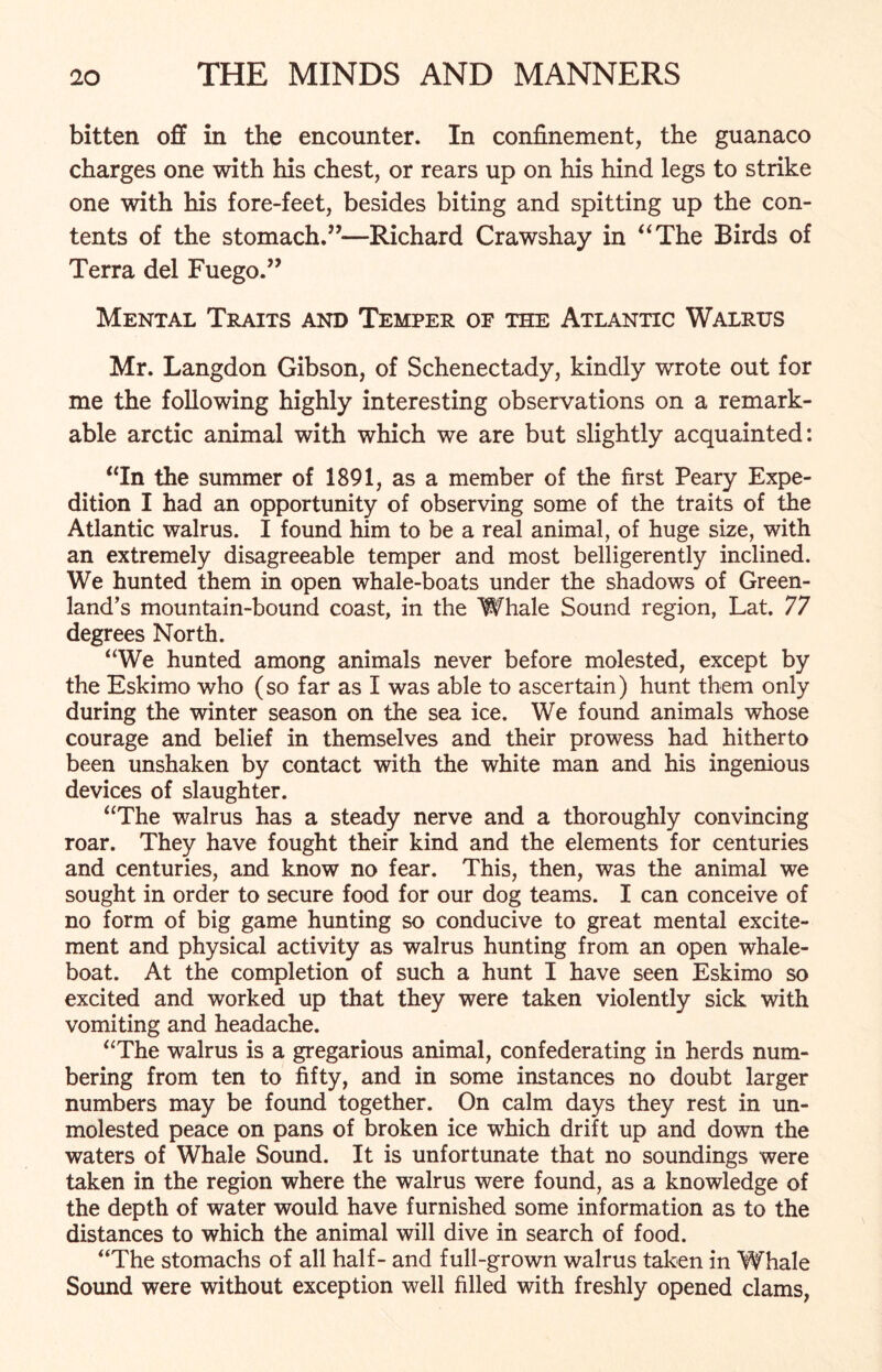 bitten off in the encounter. In confinement, the guanaco charges one with his chest, or rears up on his hind legs to strike one with his fore-feet, besides biting and spitting up the con- tents of the stomach.”—Richard Crawshay in “The Birds of Terra del Fuego.” Mental Traits and Temper of the Atlantic Walrus Mr. Langdon Gibson, of Schenectady, kindly wrote out for me the following highly interesting observations on a remark- able arctic animal with which we are but slightly acquainted: “In the summer of 1891, as a member of the first Peary Expe- dition I had an opportunity of observing some of the traits of the Atlantic walrus. I found him to be a real animal, of huge size, with an extremely disagreeable temper and most belligerently inclined. We hunted them in open whale-boats under the shadows of Green- land’s mountain-bound coast, in the Whale Sound region, Lat. 77 degrees North. “We hunted among animals never before molested, except by the Eskimo who (so far as I was able to ascertain) hunt them only during the winter season on the sea ice. We found animals whose courage and belief in themselves and their prowess had hitherto been unshaken by contact with the white man and his ingenious devices of slaughter. “The walrus has a steady nerve and a thoroughly convincing roar. They have fought their kind and the elements for centuries and centuries, and know no fear. This, then, was the animal we sought in order to secure food for our dog teams. I can conceive of no form of big game hunting so conducive to great mental excite- ment and physical activity as walrus hunting from an open whale- boat. At the completion of such a hunt I have seen Eskimo so excited and worked up that they were taken violently sick with vomiting and headache. “The walrus is a gregarious animal, confederating in herds num- bering from ten to fifty, and in some instances no doubt larger numbers may be found together. On calm days they rest in un- molested peace on pans of broken ice which drift up and down the waters of Whale Sound. It is unfortunate that no soundings were taken in the region where the walrus were found, as a knowledge of the depth of water would have furnished some information as to the distances to which the animal will dive in search of food. “The stomachs of all half- and full-grown walrus taken in Whale Sound were without exception well filled with freshly opened clams,