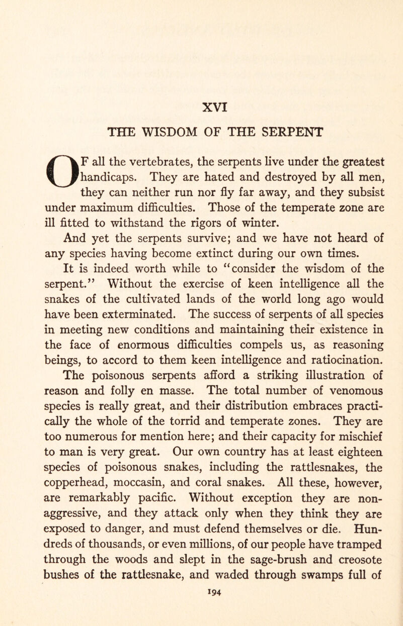 XVI THE WISDOM OF THE SERPENT OF all the vertebrates, the serpents live under the greatest handicaps. They are hated and destroyed by all men, they can neither run nor fly far away, and they subsist under maximum difficulties. Those of the temperate zone are ill fitted to withstand the rigors of winter. And yet the serpents survive; and we have not heard of any species having become extinct during our own times. It is indeed worth while to “ consider the wisdom of the serpent.” Without the exercise of keen intelligence all the snakes of the cultivated lands of the world long ago would have been exterminated. The success of serpents of all species in meeting new conditions and maintaining their existence in the face of enormous difficulties compels us, as reasoning beings, to accord to them keen intelligence and ratiocination. The poisonous serpents afford a striking illustration of reason and folly en masse. The total number of venomous species is really great, and their distribution embraces practi- cally the whole of the torrid and temperate zones. They are too numerous for mention here; and their capacity for mischief to man is very great. Our own country has at least eighteen species of poisonous snakes, including the rattlesnakes, the copperhead, moccasin, and coral snakes. All these, however, are remarkably pacific. Without exception they are non- aggressive, and they attack only when they think they are exposed to danger, and must defend themselves or die. Hun- dreds of thousands, or even millions, of our people have tramped through the woods and slept in the sage-brush and creosote bushes of the rattlesnake, and waded through swamps full of