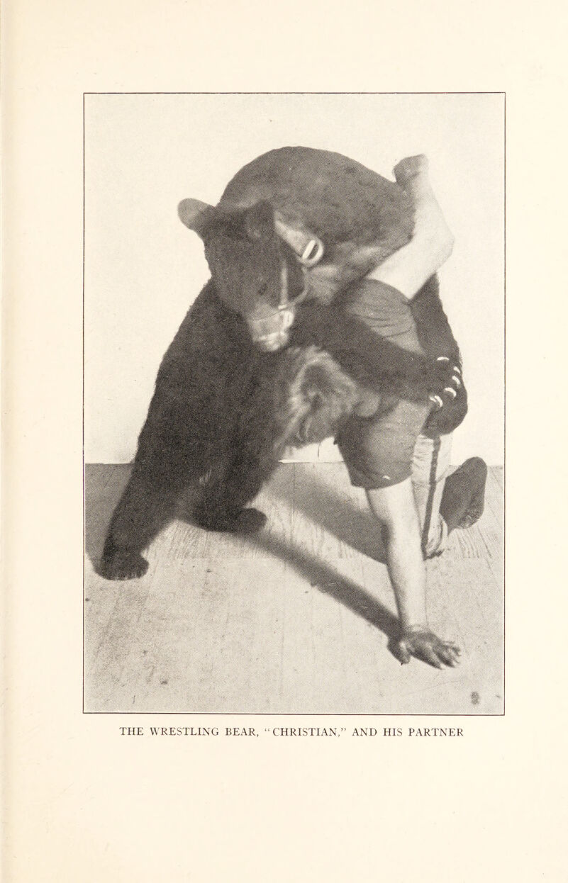 THE WRESTLING BEAR, “ CHRISTIAN,” AND HIS PARTNER