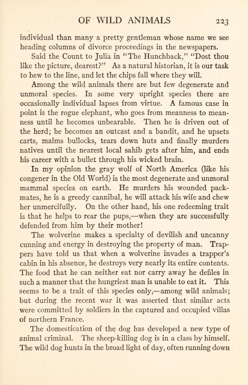 individual than many a pretty gentleman whose name we see heading columns of divorce proceedings in the newspapers. Said the Count to Julia in “The Hunchback,” “Dost thou like the picture, dearest?” As a natural historian, it is our task to hew to the line, and let the chips fall where they will. Among the wild animals there are but few degenerate and unmoral species. In some very upright species there are occasionally individual lapses from virtue. A famous case in point is the rogue elephant, who goes from meanness to mean- ness until he becomes unbearable. Then he is driven out of the herd; he becomes an outcast and a bandit, and he upsets carts, maims bullocks, tears down huts and finally murders natives until the nearest local sahib gets after him, and ends his career with a bullet through his wicked brain. In my opinion the gray wolf of North America (like his congener in the Old World) is the most degenerate and unmoral mammal species on earth. He murders his wounded pack- mates, he is a greedy cannibal, he will attack his wife and chew her unmercifully. On the other hand, his one redeeming trait is that he helps to rear the pups,—when they are successfully defended from him by their mother! The wolverine makes a specialty of devilish and uncanny cunning and energy in destroying the property of man. Trap- pers have told us that when a wolverine invades a trapper’s cabin in his absence, he destroys very nearly its entire contents. The food that he can neither eat nor carry away he defiles in such a manner that the hungriest man is unable to eat it. This seems to be a trait of this species only,—among wild animals; but during the recent war it was asserted that similar acts were committed by soldiers in the captured and occupied villas of northern France. The domestication of the dog has developed a new type of animal criminal. The sheep-killing dog is in a class by himself. The wild dog hunts in the broad light of day, often running down