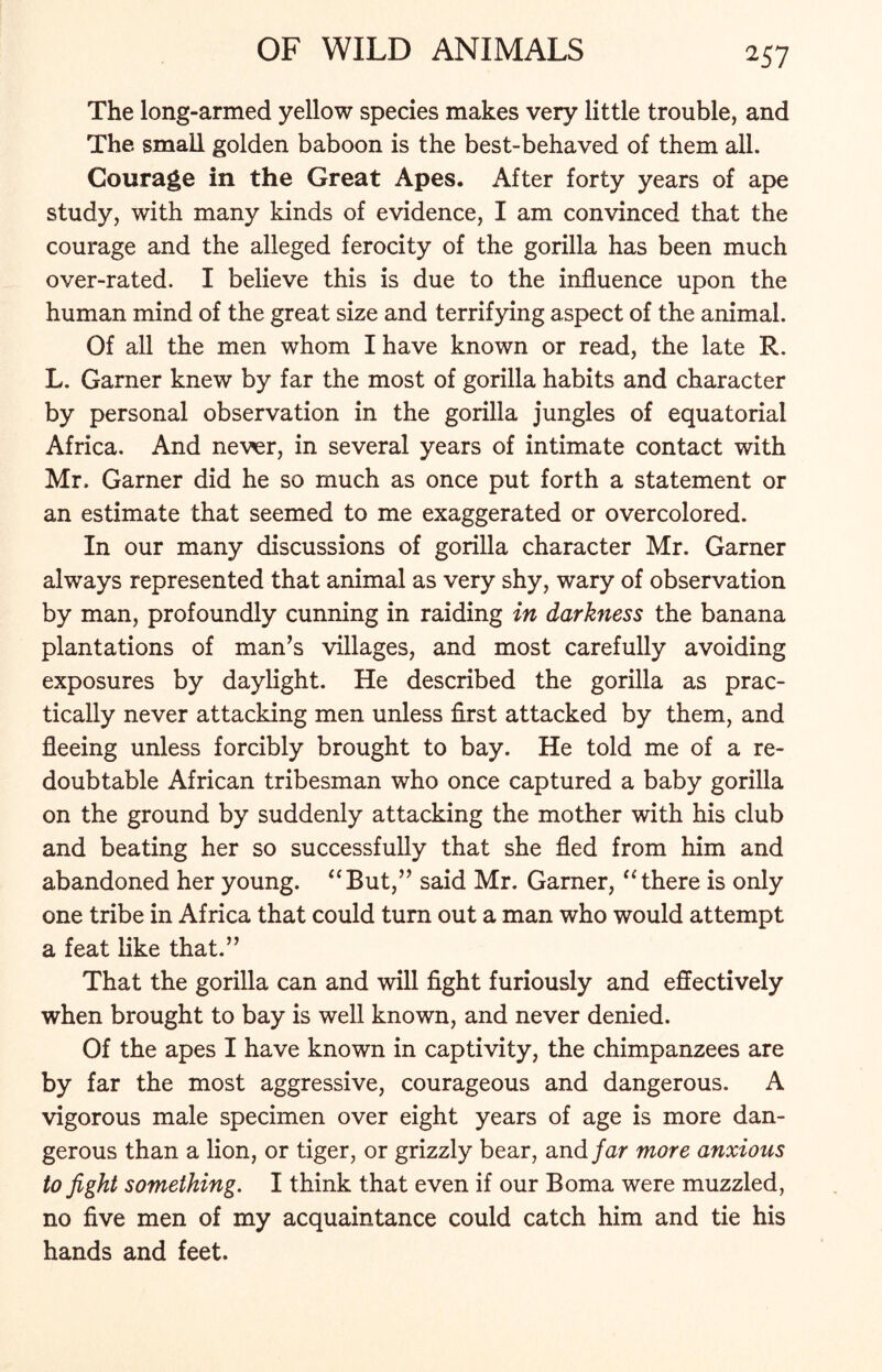The long-armed yellow species makes very little trouble, and The small golden baboon is the best-behaved of them all. Courage in the Great Apes. After forty years of ape study, with many kinds of evidence, I am convinced that the courage and the alleged ferocity of the gorilla has been much over-rated. I believe this is due to the influence upon the human mind of the great size and terrifying aspect of the animal. Of all the men whom I have known or read, the late R. L. Garner knew by far the most of gorilla habits and character by personal observation in the gorilla jungles of equatorial Africa. And never, in several years of intimate contact with Mr. Garner did he so much as once put forth a statement or an estimate that seemed to me exaggerated or overcolored. In our many discussions of gorilla character Mr. Garner always represented that animal as very shy, wary of observation by man, profoundly cunning in raiding in darkness the banana plantations of man’s villages, and most carefully avoiding exposures by daylight. He described the gorilla as prac- tically never attacking men unless first attacked by them, and fleeing unless forcibly brought to bay. He told me of a re- doubtable African tribesman who once captured a baby gorilla on the ground by suddenly attacking the mother with his club and beating her so successfully that she fled from him and abandoned her young. “But,” said Mr. Garner, “there is only one tribe in Africa that could turn out a man who would attempt a feat like that.” That the gorilla can and will fight furiously and effectively when brought to bay is well known, and never denied. Of the apes I have known in captivity, the chimpanzees are by far the most aggressive, courageous and dangerous. A vigorous male specimen over eight years of age is more dan- gerous than a lion, or tiger, or grizzly bear, and far more anxious to fight something. I think that even if our Boma were muzzled, no five men of my acquaintance could catch him and tie his hands and feet.