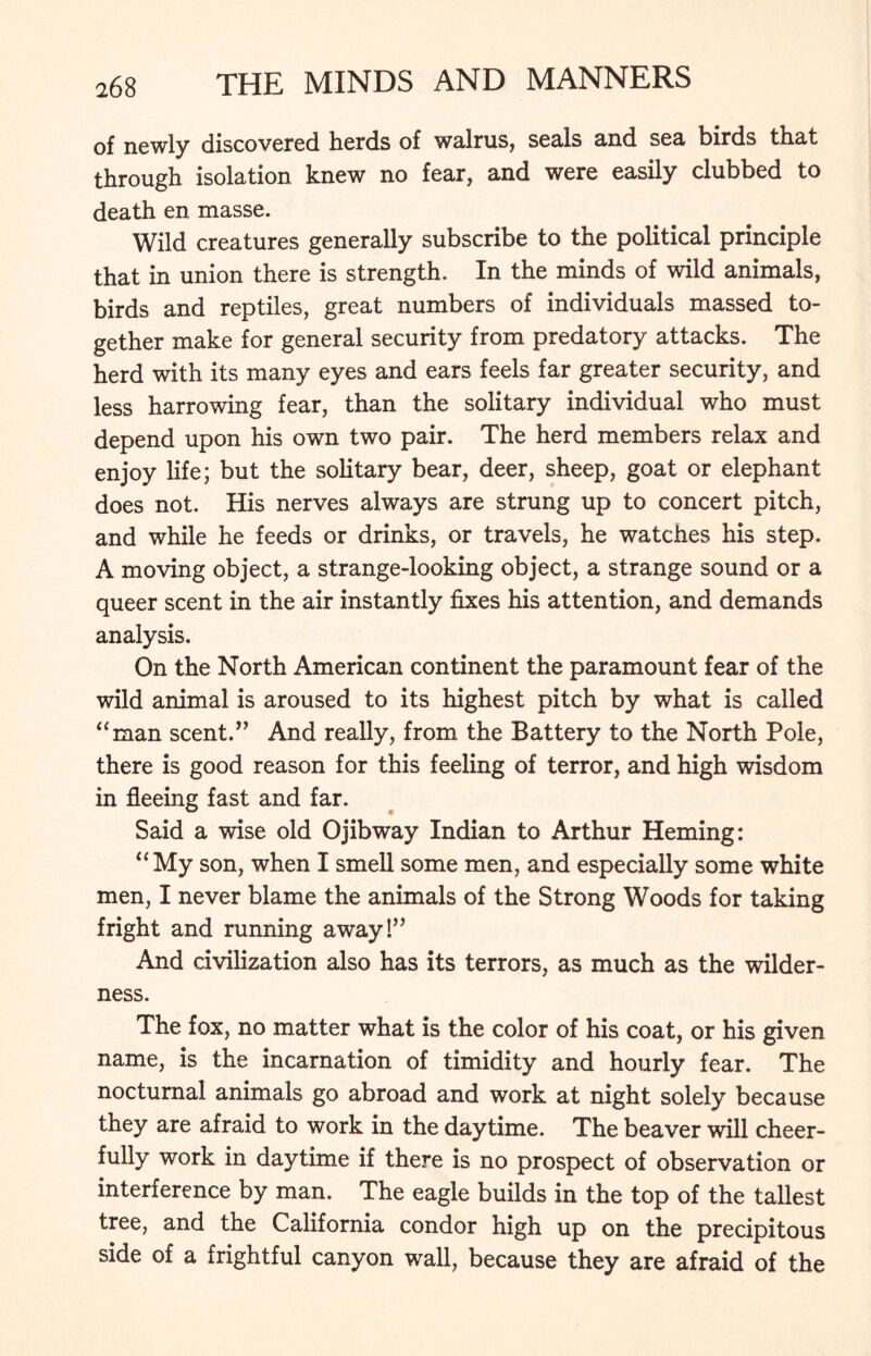 of newly discovered herds of walrus, seals End sea birds that through isolation knew no fear, End were eEsily clubbed to deEth en masse. Wild creatures generally subscribe to the political principle that in union there is strength. In the minds of wild animals, birds and reptiles, great numbers of individuals massed to- gether make for general security from predatory attacks. The herd with its many eyes and ears feels far greater security, and less harrowing fear, than the solitary individual who must depend upon his own two pair. The herd members relax and enjoy life; but the solitary bear, deer, sheep, goat or elephant does not. His nerves always are strung up to concert pitch, and while he feeds or drinks, or travels, he watches his step. A moving object, a strange-looking object, a strange sound or a queer scent in the air instantly fixes his attention, and demands analysis. On the North American continent the paramount fear of the wild animal is aroused to its highest pitch by what is called “man scent.” And really, from, the Battery to the North Pole, there is good reason for this feeling of terror, and high wisdom in fleeing fast and far. Said a wise old Ojibway Indian to Arthur Heming: “My son, when I smell some men, and especially some white men, I never blame the animals of the Strong Woods for taking fright and running away!” And civilization also has its terrors, as much as the wilder- ness. The fox, no matter what is the color of his coat, or his given name, is the incarnation of timidity and hourly fear. The nocturnal animals go abroad and work at night solely because they are afraid to work in the daytime. The beaver will cheer- fully work in daytime if there is no prospect of observation or interference by man. The eagle builds in the top of the tallest tree, and the California condor high up on the precipitous side of a frightful canyon wall, because they are afraid of the