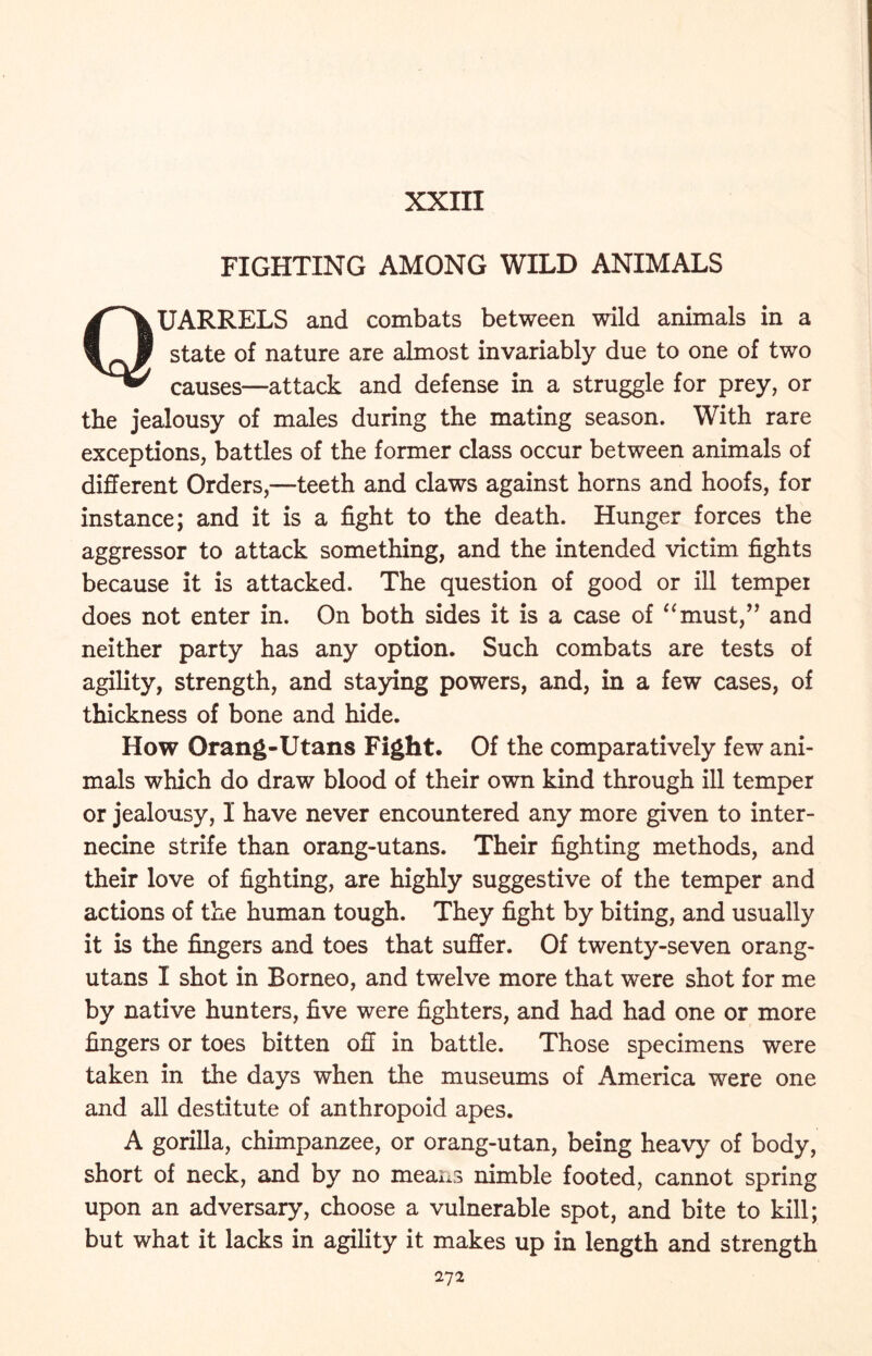 XXIII FIGHTING AMONG WILD ANIMALS QUARRELS and combats between wild animals in a state of nature are almost invariably due to one of two causes—attack and defense in a struggle for prey, or the jealousy of males during the mating season. With rare exceptions, battles of the former class occur between animals of different Orders,—teeth and claws against horns and hoofs, for instance; and it is a fight to the death. Hunger forces the aggressor to attack something, and the intended victim fights because it is attacked. The question of good or ill temper does not enter in. On both sides it is a case of “must,” and neither party has any option. Such combats are tests of agility, strength, and staying powers, and, in a few cases, of thickness of bone and hide. How Orang-Utans Fight. Of the comparatively few ani- mals which do draw blood of their own kind through ill temper or jealousy, I have never encountered any more given to inter- necine strife than orang-utans. Their fighting methods, and their love of fighting, are highly suggestive of the temper and actions of the human tough. They fight by biting, and usually it is the fingers and toes that suffer. Of twenty-seven orang- utans I shot in Borneo, and twelve more that were shot for me by native hunters, five were fighters, and had had one or more fingers or toes bitten off in battle. Those specimens were taken in the days when the museums of America were one and all destitute of anthropoid apes. A gorilla, chimpanzee, or orang-utan, being heavy of body, short of neck, and by no means nimble footed, cannot spring upon an adversary, choose a vulnerable spot, and bite to kill; but what it lacks in agility it makes up in length and strength