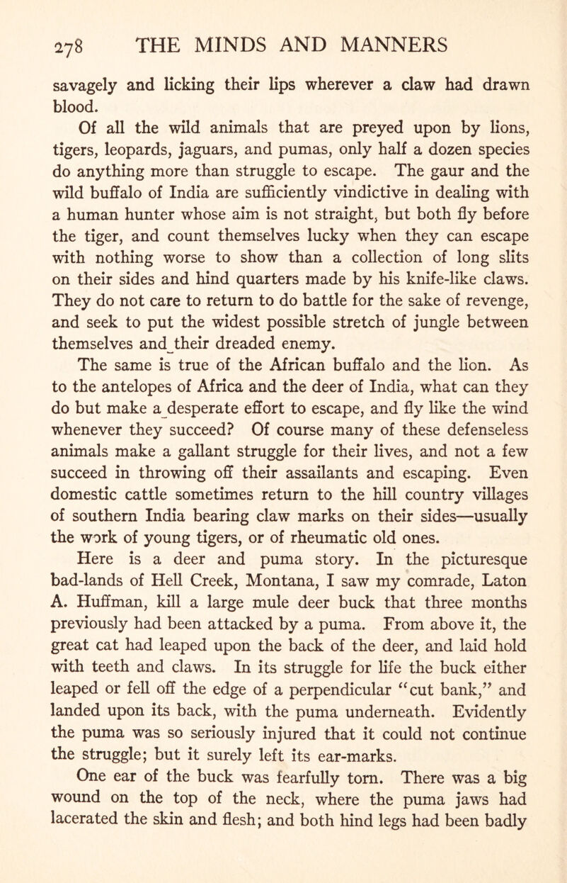 savagely and licking their lips wherever a claw had drawn blood. Of all the wild animals that are preyed upon by lions, tigers, leopards, jaguars, and pumas, only half a dozen species do anything more than struggle to escape. The gaur and the wild buffalo of India are sufficiently vindictive in dealing with a human hunter whose aim is not straight, but both fly before the tiger, and count themselves lucky when they can escape with nothing worse to show than a collection of long slits on their sides and hind quarters made by his knife-like claws. They do not care to return to do battle for the sake of revenge, and seek to put the widest possible stretch of jungle between themselves and their dreaded enemy. The same is true of the African buffalo and the lion. As to the antelopes of Africa and the deer of India, what can they do but make a desperate effort to escape, and fly like the wind whenever they succeed? Of course many of these defenseless animals make a gallant struggle for their lives, and not a few succeed in throwing off their assailants and escaping. Even domestic cattle sometimes return to the hill country villages of southern India bearing claw marks on their sides—usually the work of young tigers, or of rheumatic old ones. Here is a deer and puma story. In the picturesque bad-lands of Hell Creek, Montana, I saw my comrade, Laton A. Huffman, kill a large mule deer buck that three months previously had been attacked by a puma. From above it, the great cat had leaped upon the back of the deer, and laid hold with teeth and claws. In its struggle for life the buck either leaped or fell off the edge of a perpendicular “cut bank,” and landed upon its back, with the puma underneath. Evidently the puma was so seriously injured that it could not continue the struggle; but it surely left its ear-marks. One ear of the buck was fearfully tom. There was a big wound on the top of the neck, where the puma jaws had lacerated the skin and flesh; and both hind legs had been badly