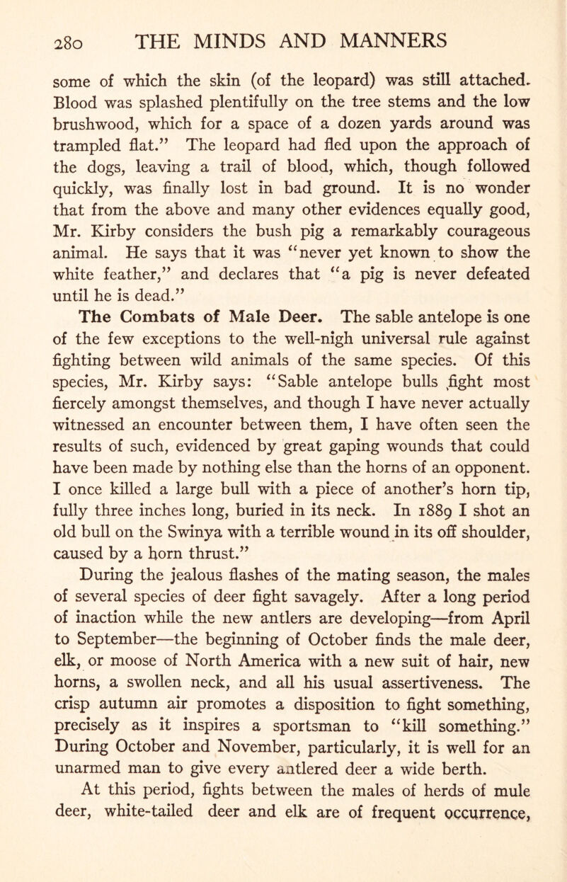 some of which the skin (of the leopard) was still attached. Blood was splashed plentifully on the tree stems and the low brushwood, which for a space of a dozen yards around was trampled flat.” The leopard had fled upon the approach of the dogs, leaving a trail of blood, which, though followed quickly, was finally lost in bad ground. It is no wonder that from the above and many other evidences equally good, Mr. Kirby considers the bush pig a remarkably courageous animal. He says that it was “ never yet known to show the white feather,” and declares that “a pig is never defeated until he is dead.” The Combats of Male Deer. The sable antelope is one of the few exceptions to the well-nigh universal rule against fighting between wild animals of the same species. Of this species, Mr. Kirby says: “Sable antelope bulls fight most fiercely amongst themselves, and though I have never actually witnessed an encounter between them, I have often seen the results of such, evidenced by great gaping wounds that could have been made by nothing else than the horns of an opponent. I once killed a large bull with a piece of another’s horn tip, fully three inches long, buried in its neck. In 1889 I shot an old bull on the Swinya with a terrible wound in its off shoulder, caused by a horn thrust.” During the jealous flashes of the mating season, the males of several species of deer fight savagely. After a long period of inaction while the new antlers are developing—from April to September—the beginning of October finds the male deer, elk, or moose of North America with a new suit of hair, new horns, a swollen neck, and all his usual assertiveness. The crisp autumn air promotes a disposition to fight something, precisely as it inspires a sportsman to “kill something.” During October and November, particularly, it is well for an unarmed man to give every antlered deer a wide berth. At this period, fights between the males of herds of mule deer, white-tailed deer and elk are of frequent occurrence*