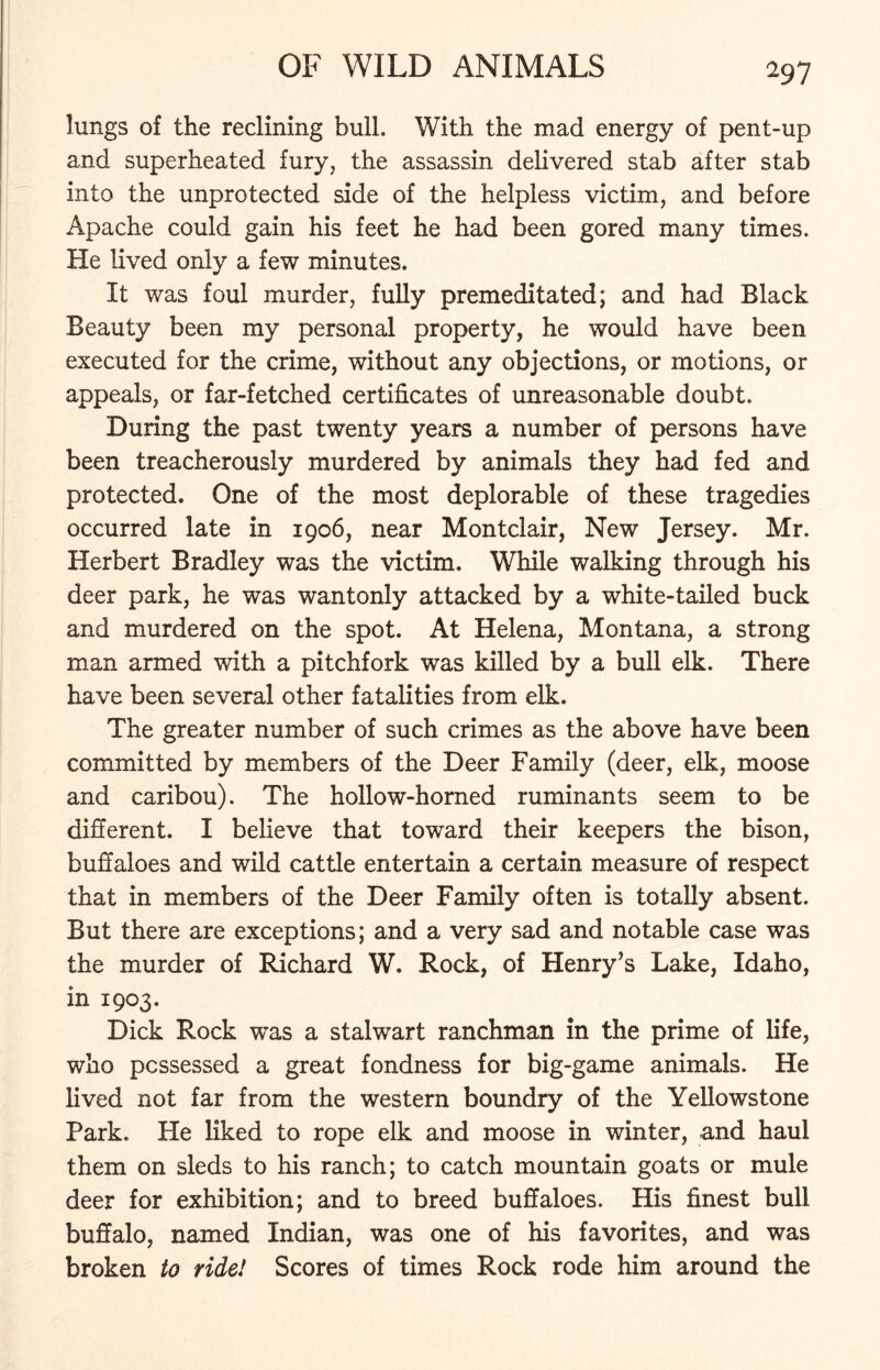 lungs of the reclining bull. With the mad energy of pent-up and superheated fury, the assassin delivered stab after stab into the unprotected side of the helpless victim, and before Apache could gain his feet he had been gored many times. He lived only a few minutes. It was foul murder, fully premeditated; and had Black Beauty been my personal property, he would have been executed for the crime, without any objections, or motions, or appeals, or far-fetched certificates of unreasonable doubt. During the past twenty years a number of persons have been treacherously murdered by animals they had fed and protected. One of the most deplorable of these tragedies occurred late in 1906, near Montclair, New Jersey. Mr. Herbert Bradley was the victim. While walking through his deer park, he was wantonly attacked by a white-tailed buck and murdered on the spot. At Helena, Montana, a strong man armed with a pitchfork was killed by a bull elk. There have been several other fatalities from elk. The greater number of such crimes as the above have been committed by members of the Deer Family (deer, elk, moose and caribou). The hollow-homed ruminants seem to be different. I believe that toward their keepers the bison, buffaloes and wild cattle entertain a certain measure of respect that in members of the Deer Family often is totally absent. But there are exceptions; and a very sad and notable case was the murder of Richard W. Rock, of Henry’s Lake, Idaho, in 1903. Dick Rock was a stalwart ranchman in the prime of life, who possessed a great fondness for big-game animals. He lived not far from the western boundry of the Yellowstone Park. He liked to rope elk and moose in winter, and haul them on sleds to his ranch; to catch mountain goats or mule deer for exhibition; and to breed buffaloes. His finest bull buffalo, named Indian, was one of his favorites, and was broken to ride! Scores of times Rock rode him around the