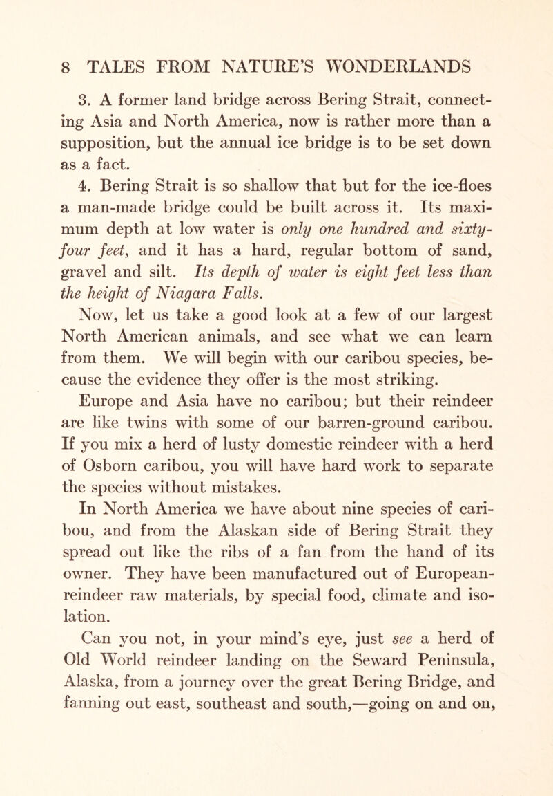 3. A former land bridge across Bering Strait, connect- ing Asia and North America, now is rather more than a supposition, but the annual ice bridge is to be set down as a fact. 4. Bering Strait is so shallow that but for the ice-floes a man-made bridge could be built across it. Its maxi- mum depth at low water is only one hundred and sixty- four feet, and it has a hard, regular bottom of sand, gravel and silt. Its depth of water is eight feet less than the height of Niagara Falls. Now, let us take a good look at a few of our largest North American animals, and see what we can learn from them. We will begin with our caribou species, be- cause the evidence they offer is the most striking. Europe and Asia have no caribou; but their reindeer are like twins with some of our barren-ground caribou. If you mix a herd of lusty domestic reindeer with a herd of Osborn caribou, you will have hard work to separate the species without mistakes. In North America we have about nine species of cari- bou, and from the Alaskan side of Bering Strait they spread out like the ribs of a fan from the hand of its owner. They have been manufactured out of European- reindeer raw materials, by special food, climate and iso- lation. Can you not, in your mind’s eye, just see a herd of Old World reindeer landing on the Seward Peninsula, Alaska, from a journey over the great Bering Bridge, and fanning out east, southeast and south,—going on and on,