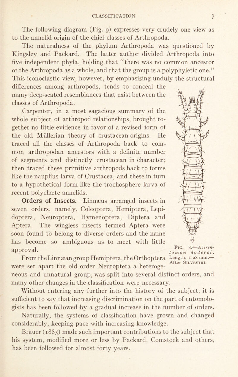 M/ ji \\ The following diagram (Fig. 9) expresses very crudely one view as to the annelid origin of the chief classes of Arthropoda. The naturalness of the phylum Arthropoda was questioned by Kingsley and Packard. The latter author divided Arthropoda into five independent phyla, holding that “there was no common ancestor of the Arthropoda as a whole, and that the group is a polyphyletic one.” This iconoclastic view, however, by emphasizing unduly the structural differences among arthropods, tends to conceal the many deep-seated resemblances that exist between the classes of Arthropoda. Carpenter, in a most sagacious summary of the whole subject of arthropod relationships, brought to- gether no little evidence in favor of a revised form of the old Mullerian theory of crustacean origins. He traced all the classes of Arthropoda back to com- mon arthropodan ancestors with a definite number of segments and distinctly crustacean in character; then traced these primitive arthropods back to forms like the nauplius larva of Crustacea, and these in turn to a hypothetical form like the trochosphere larva of recent polychsete annelids. Orders of Insects.—Linnaeus arranged insects in seven orders, namely, Coleoptera, Hemiptera, Lepi- doptera, Neuroptera, Hymenoptera, Diptera and Aptera. The wingless insects termed Aptera were soon found to belong to diverse orders and the name has become so ambiguous as to meet with little approval. From theLinnaean group Hemiptera, the Orthoptera Length, 1.28 mm.— After Silvestri. were set apart the old order Neuroptera a heteroge- neous and unnatural group, was split into several distinct orders, and many other changes in the classification were necessary. Without entering any further into the history of the subject, it is sufficient to say that increasing discrimination on the part of entomolo- gists has been followed by a gradual increase in the number of orders. Naturally, the systems of classification have grown and changed considerably, keeping pace with increasing knowledge. Brauer (1885) made such important contributions to the subject that his system, modified more or less by Packard, Comstock and others, has been followed for almost forty years. 41 VVi II iv rn—tf- i \ Fig. 8.j—Aceren- to in on do der oi.